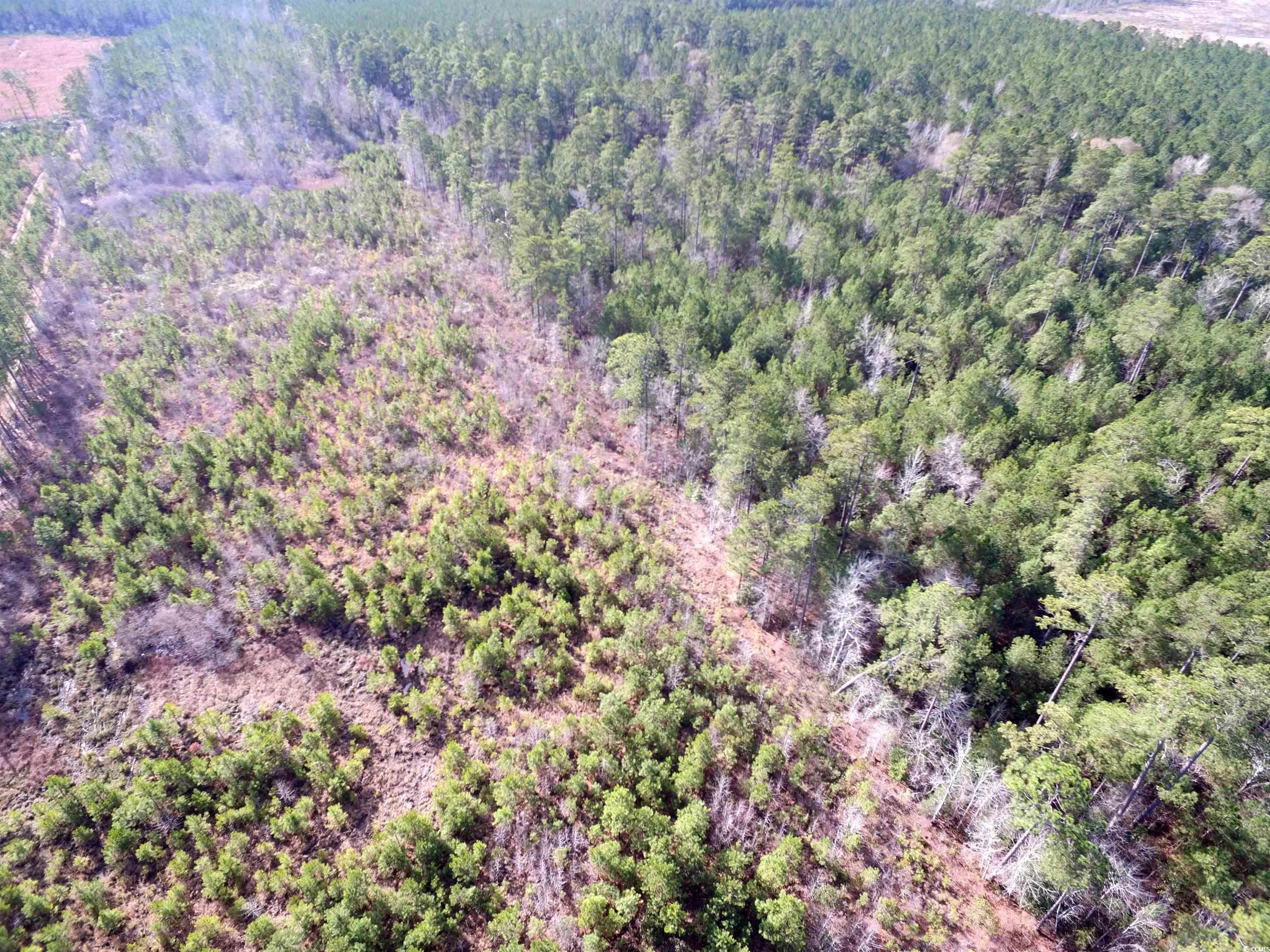 Tbd Southwind Rd Property Photo 17