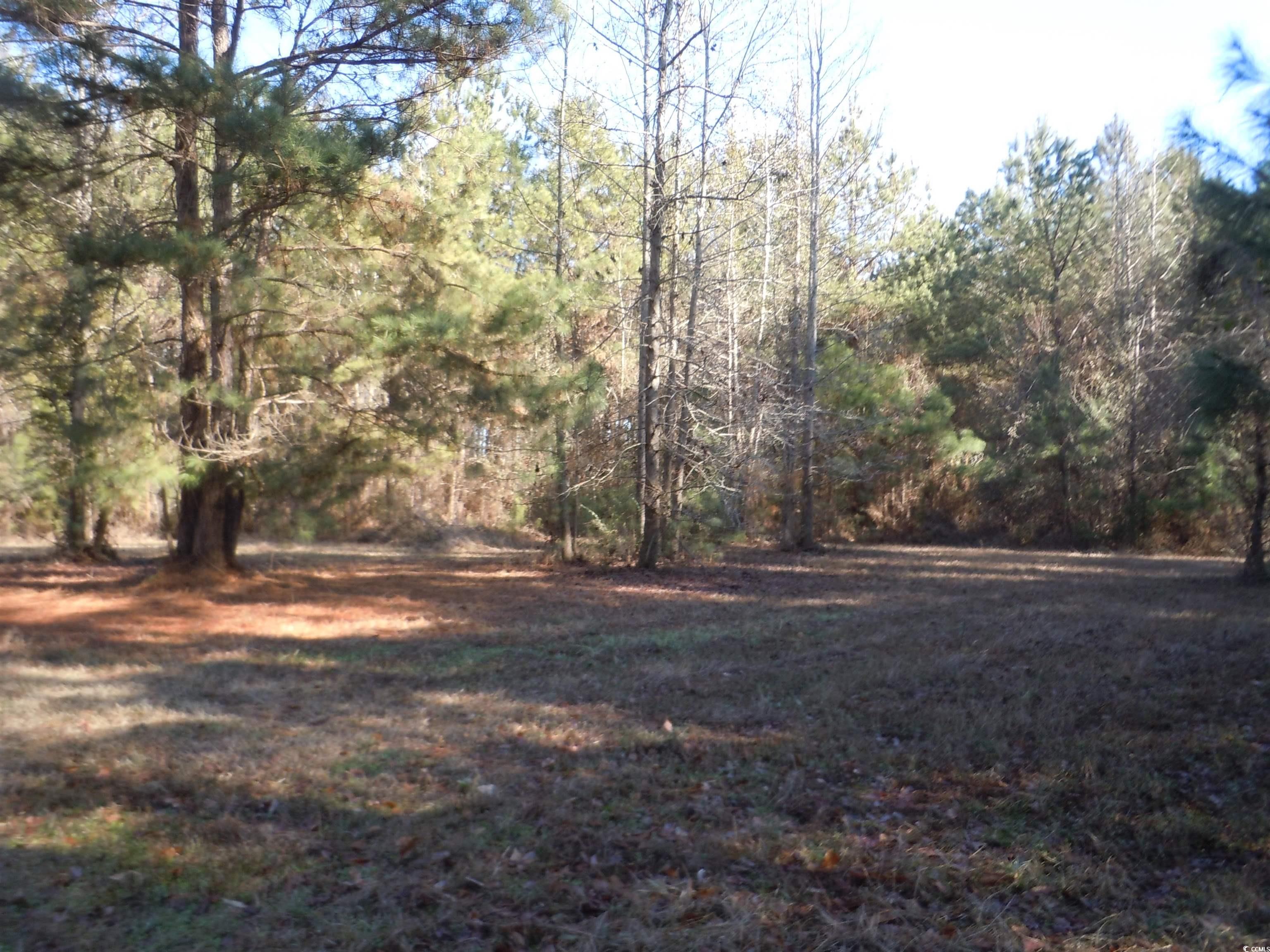 1070 Bee Tree Rd Property Photo 26
