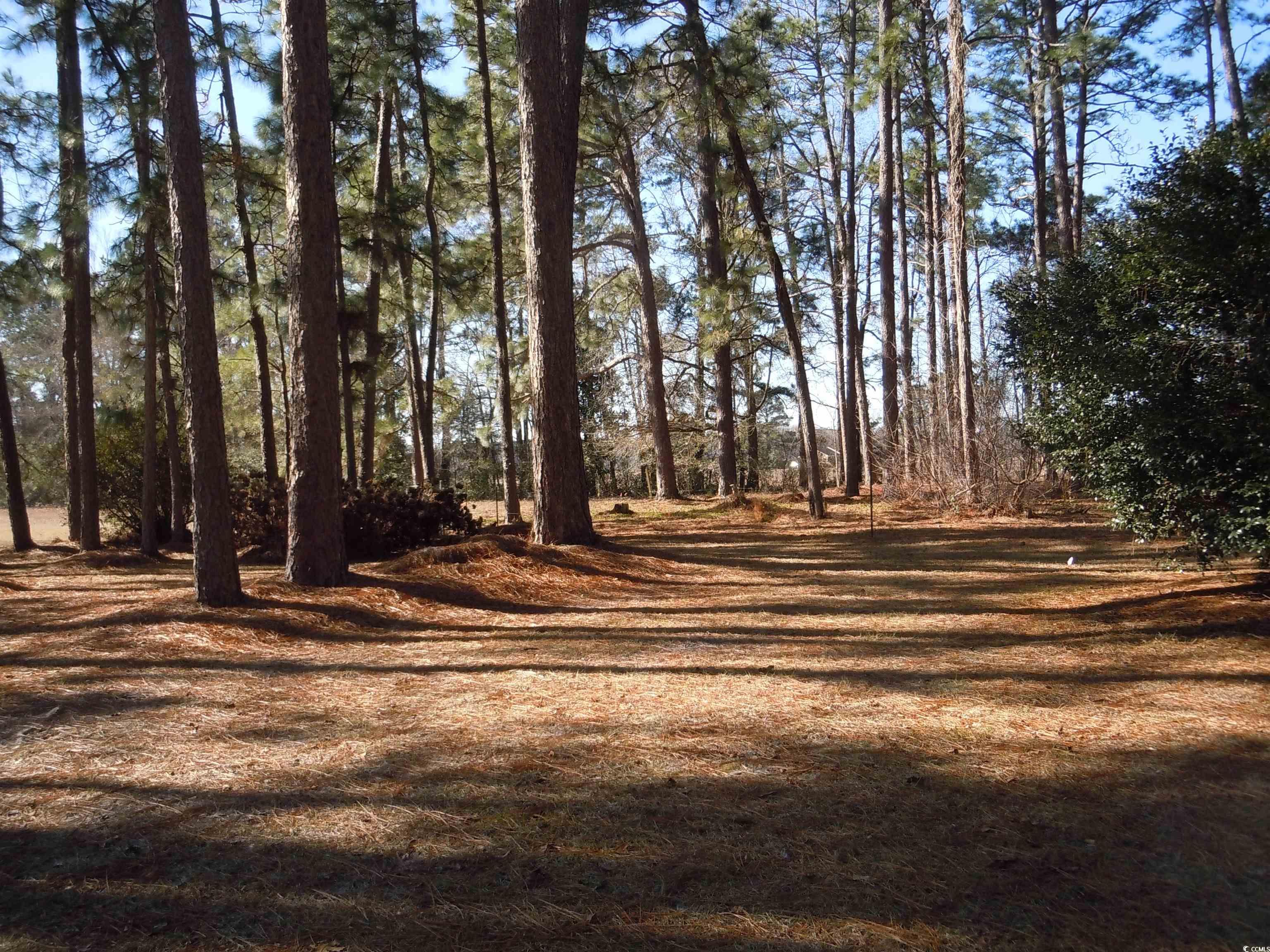 1070 Bee Tree Rd Property Photo 28