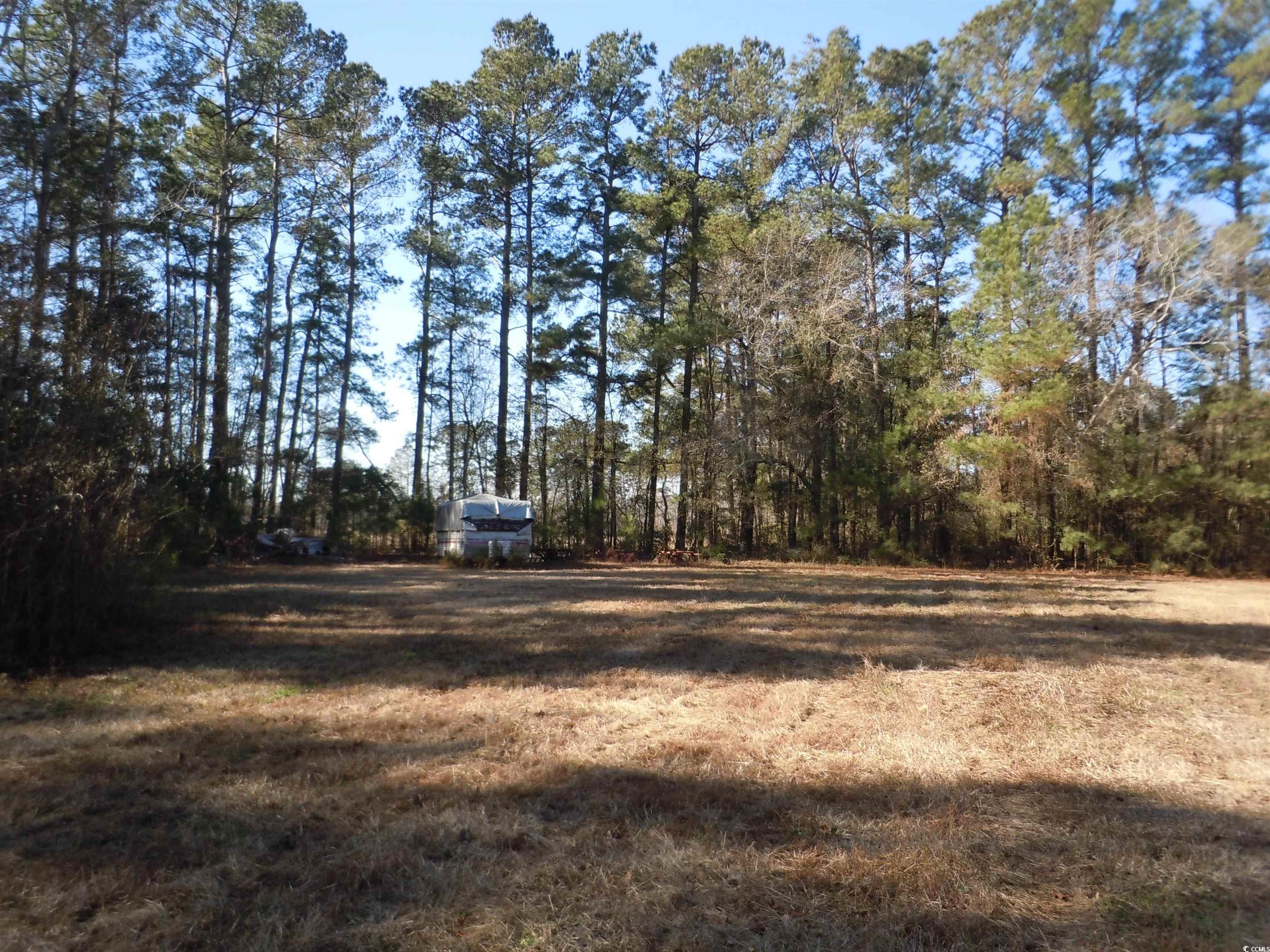 1070 Bee Tree Rd Property Photo 31