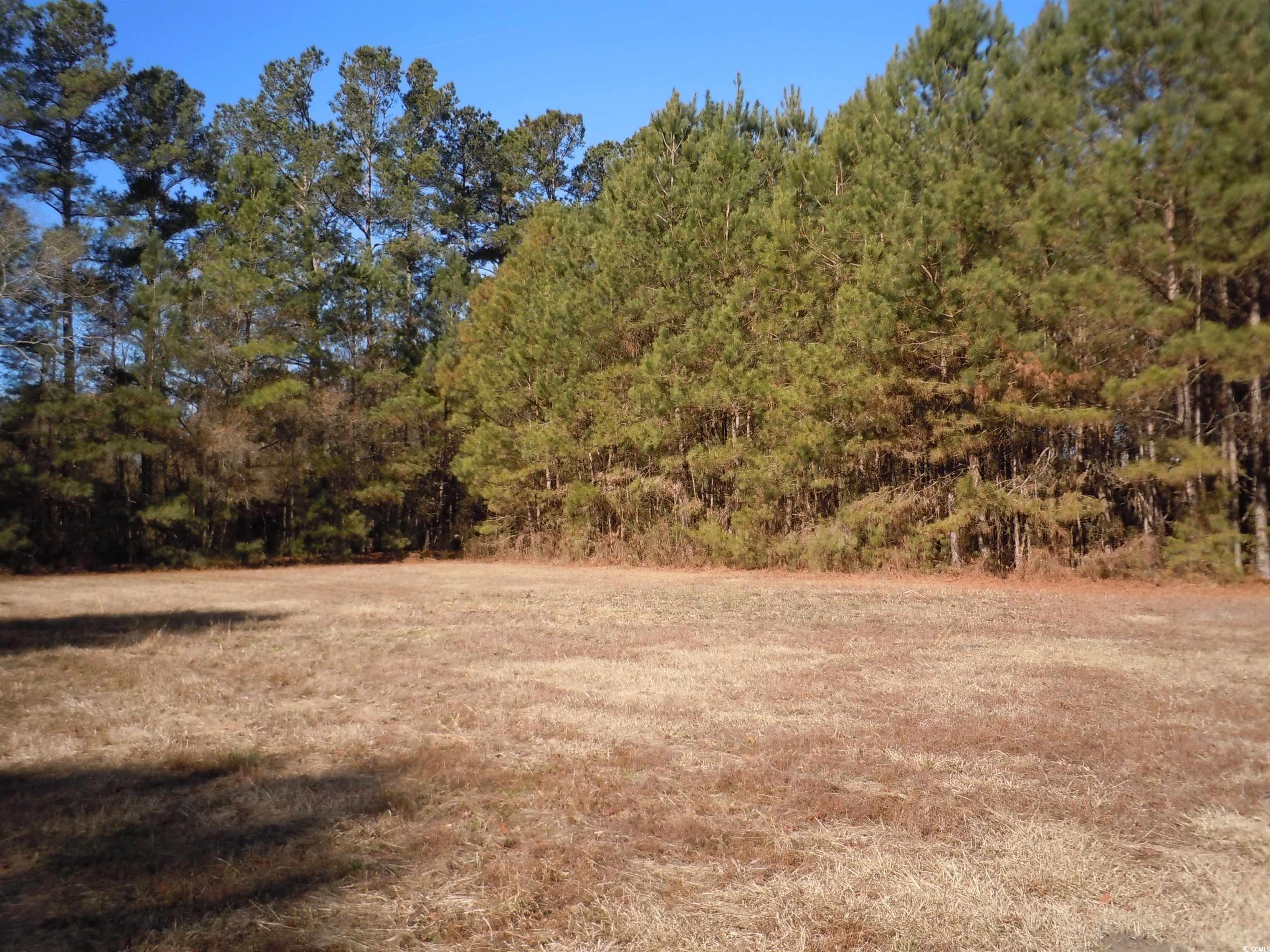 1070 Bee Tree Rd Property Photo 33