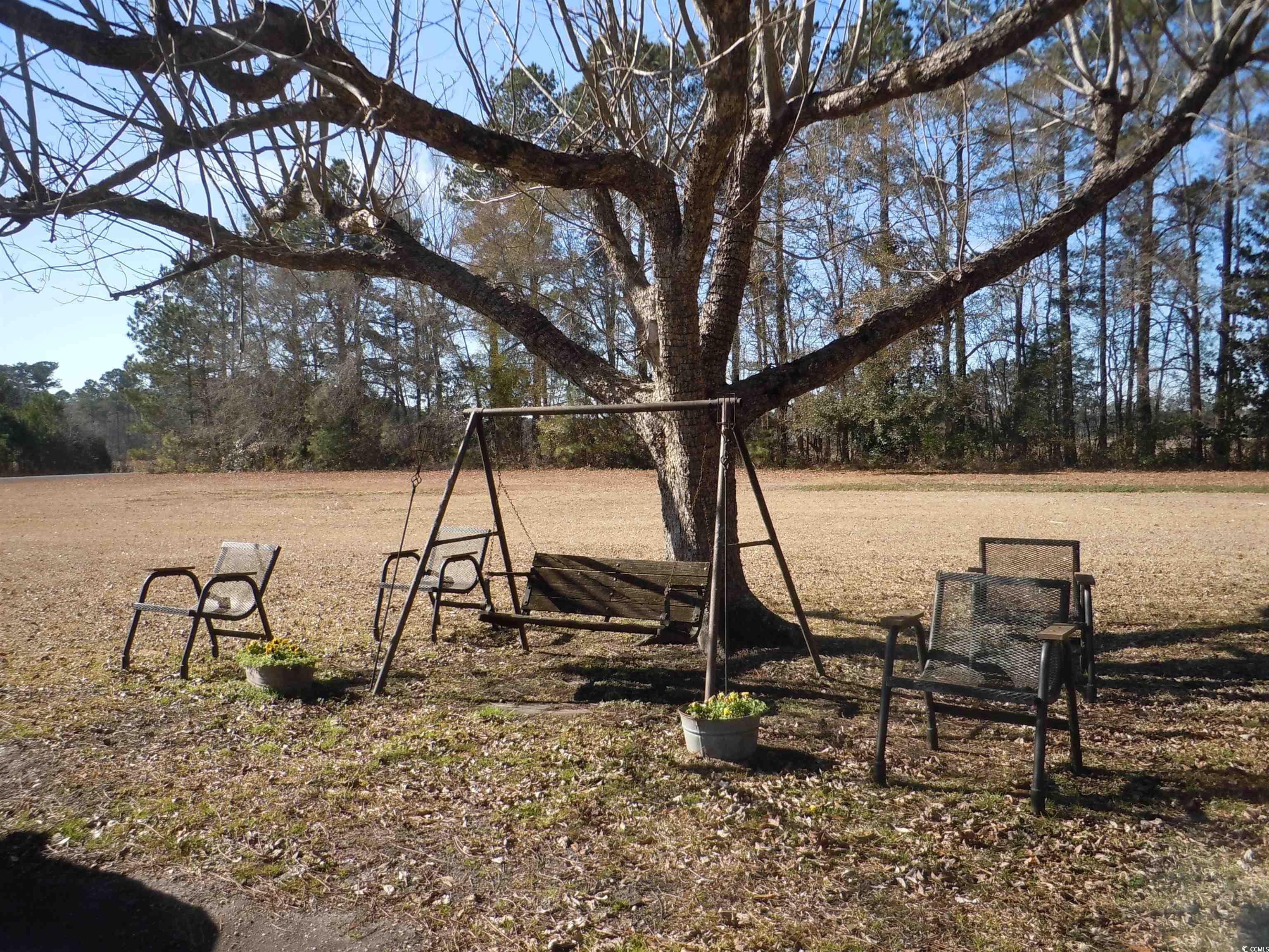 1070 Bee Tree Rd Property Photo 38