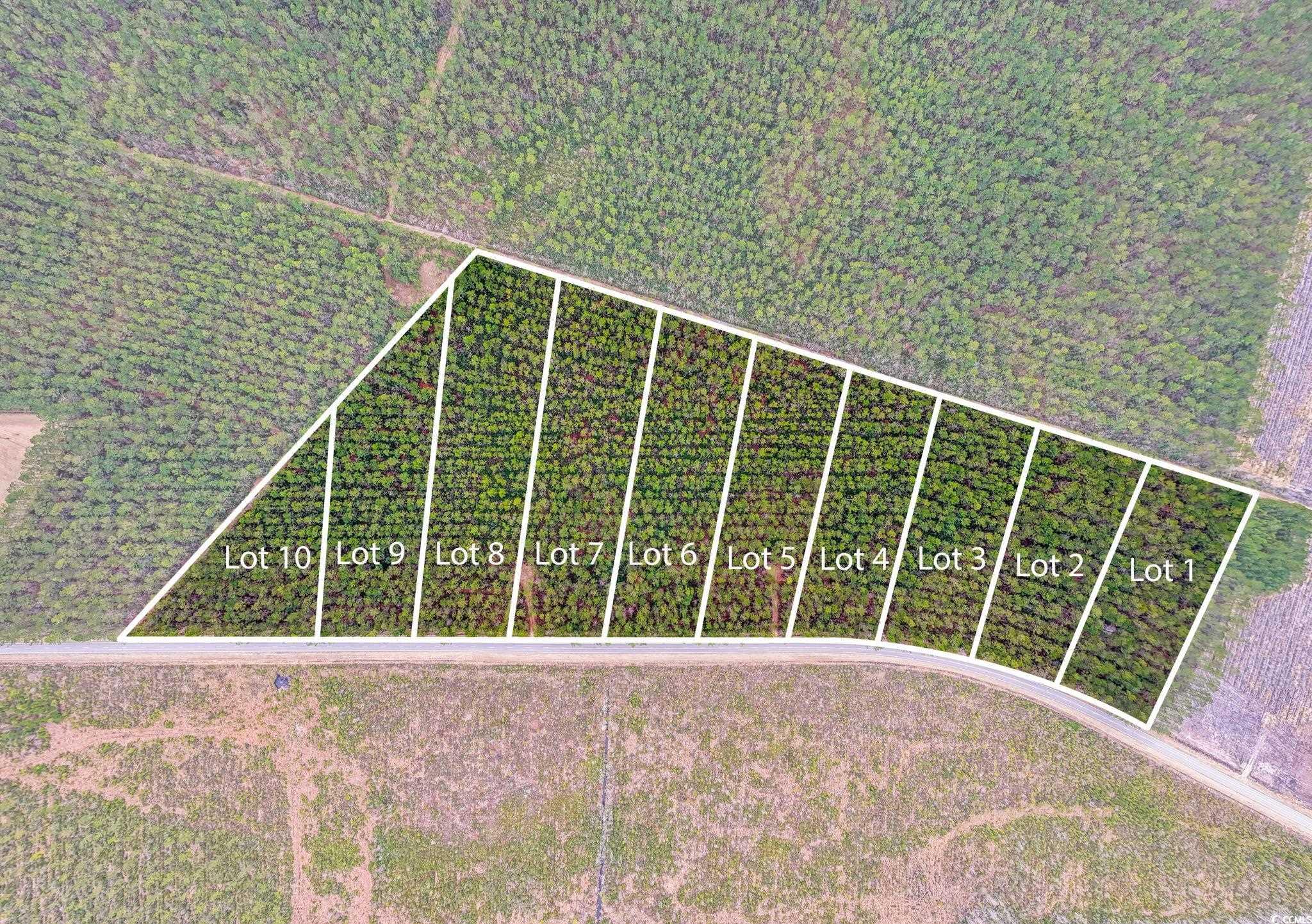 TBD Joyner Swamp Rd. Property Photo 1