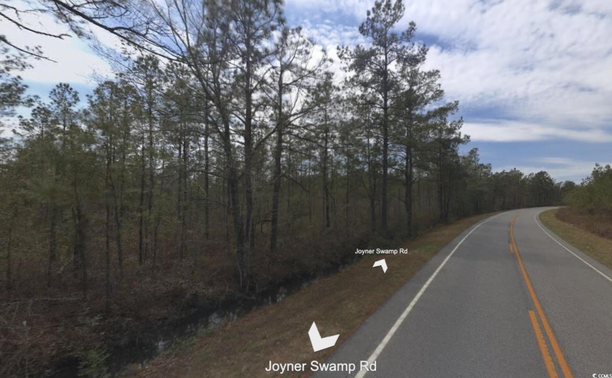 Tbd Joyner Swamp Rd. Property Photo 3
