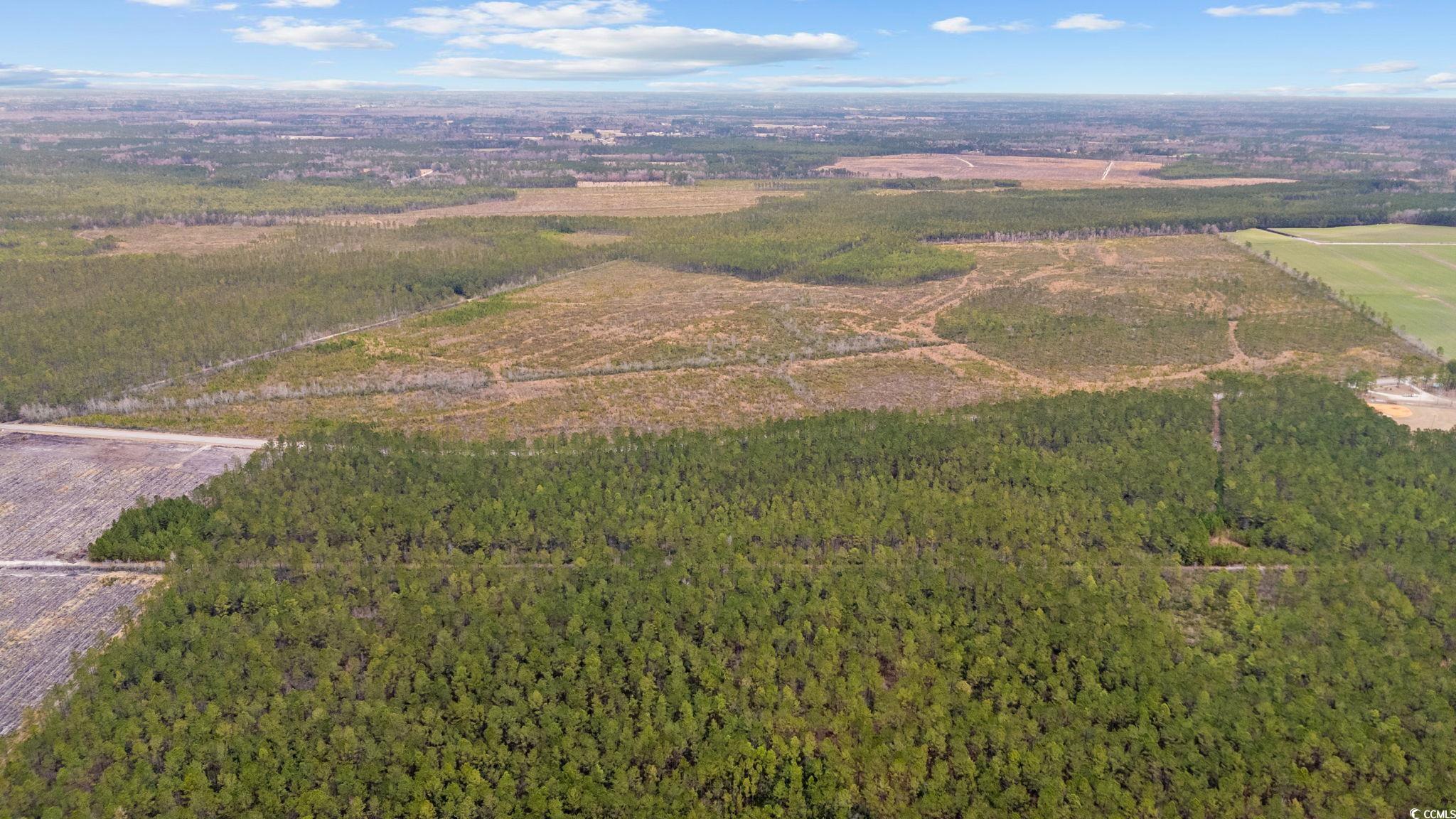 Tbd Joyner Swamp Rd. Property Photo 6