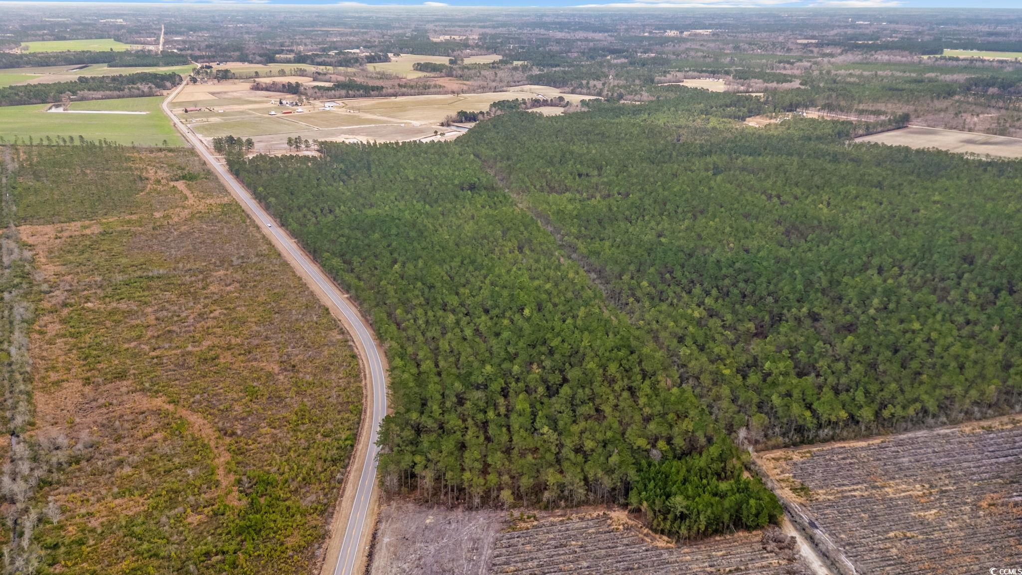 Tbd Joyner Swamp Rd. Property Photo 8