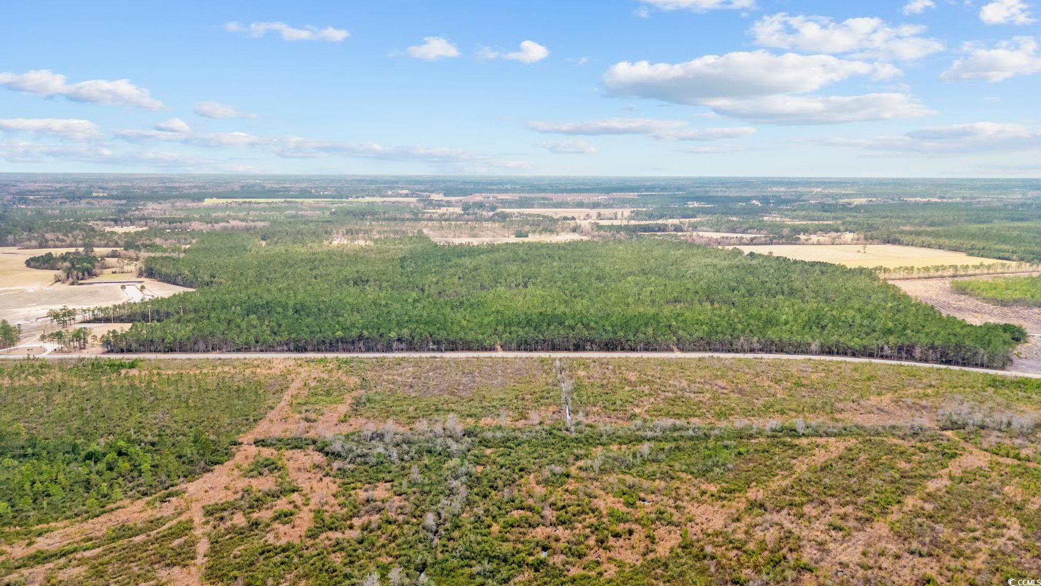 Tbd Joyner Swamp Rd. Property Photo 10