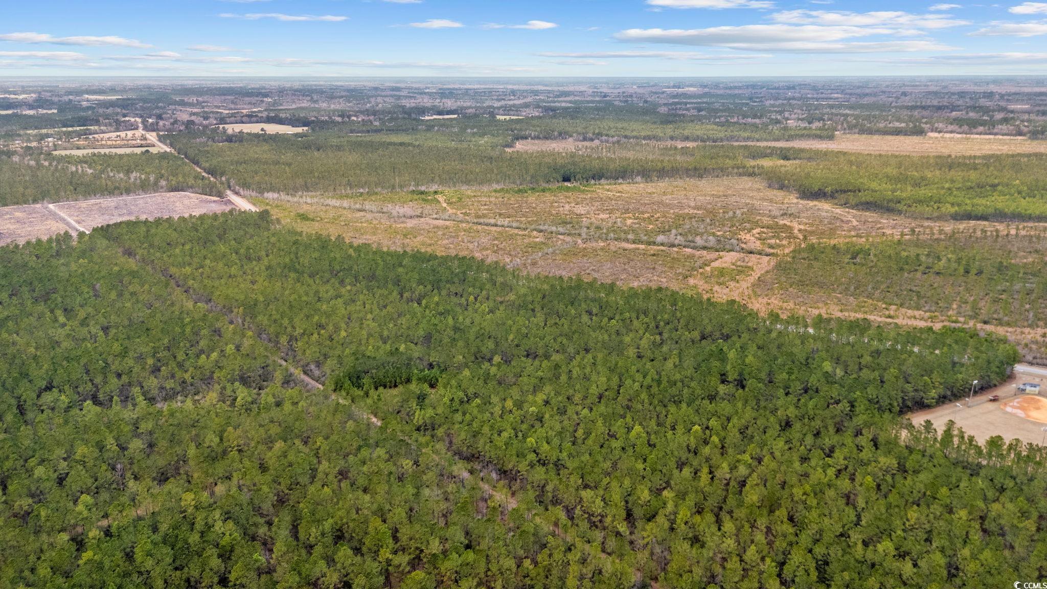 Tbd Joyner Swamp Rd. Property Photo 8