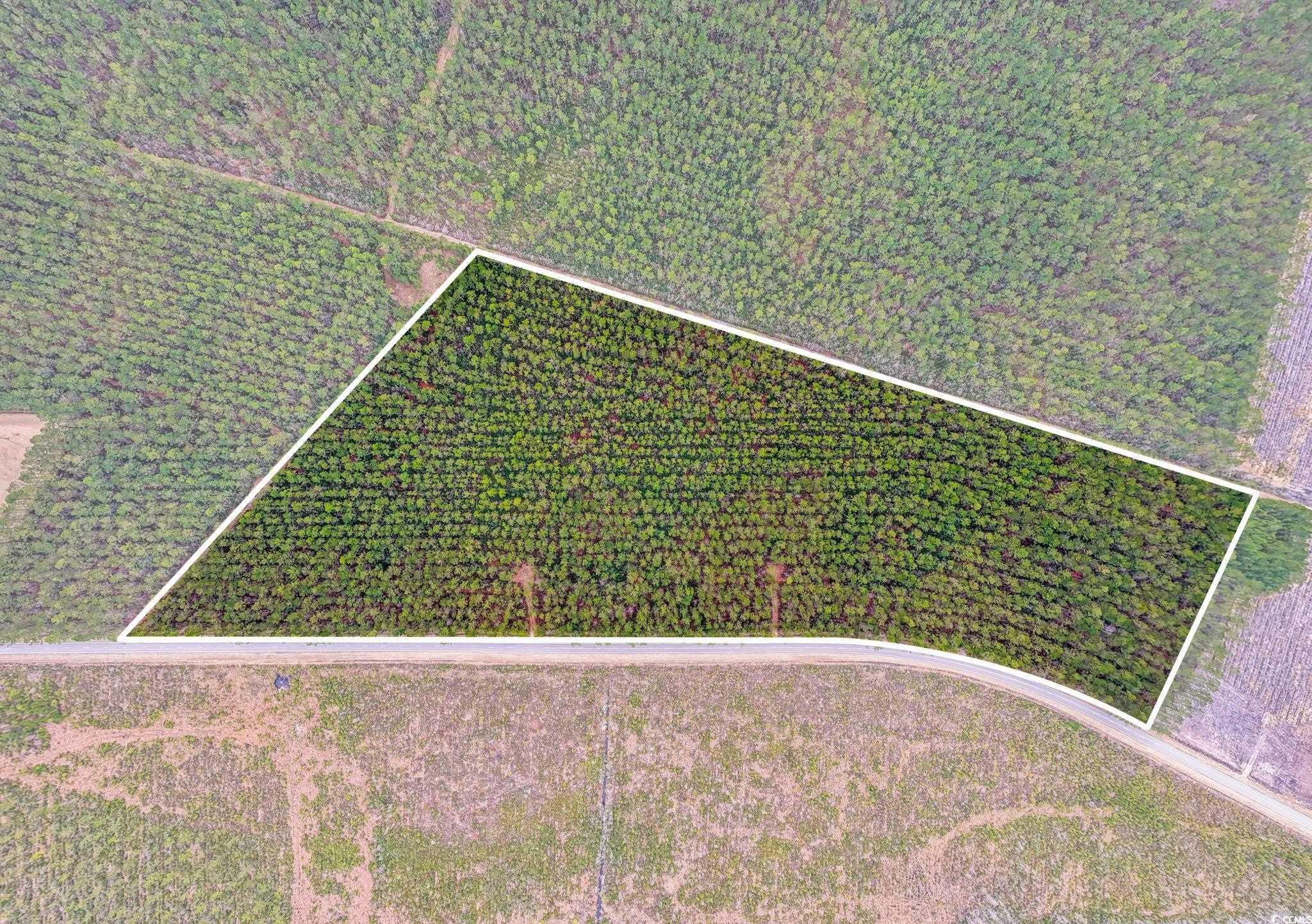 Tbd Joyner Swamp Rd. Property Photo 18