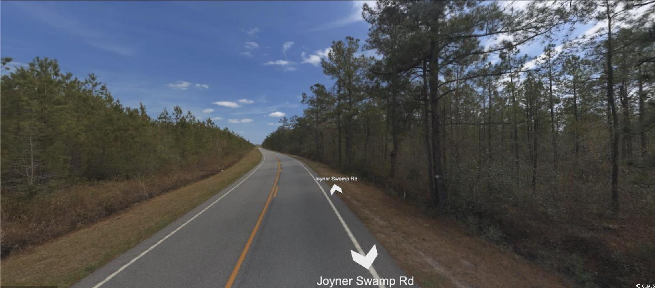 Tbd Joyner Swamp Rd. Property Photo 3