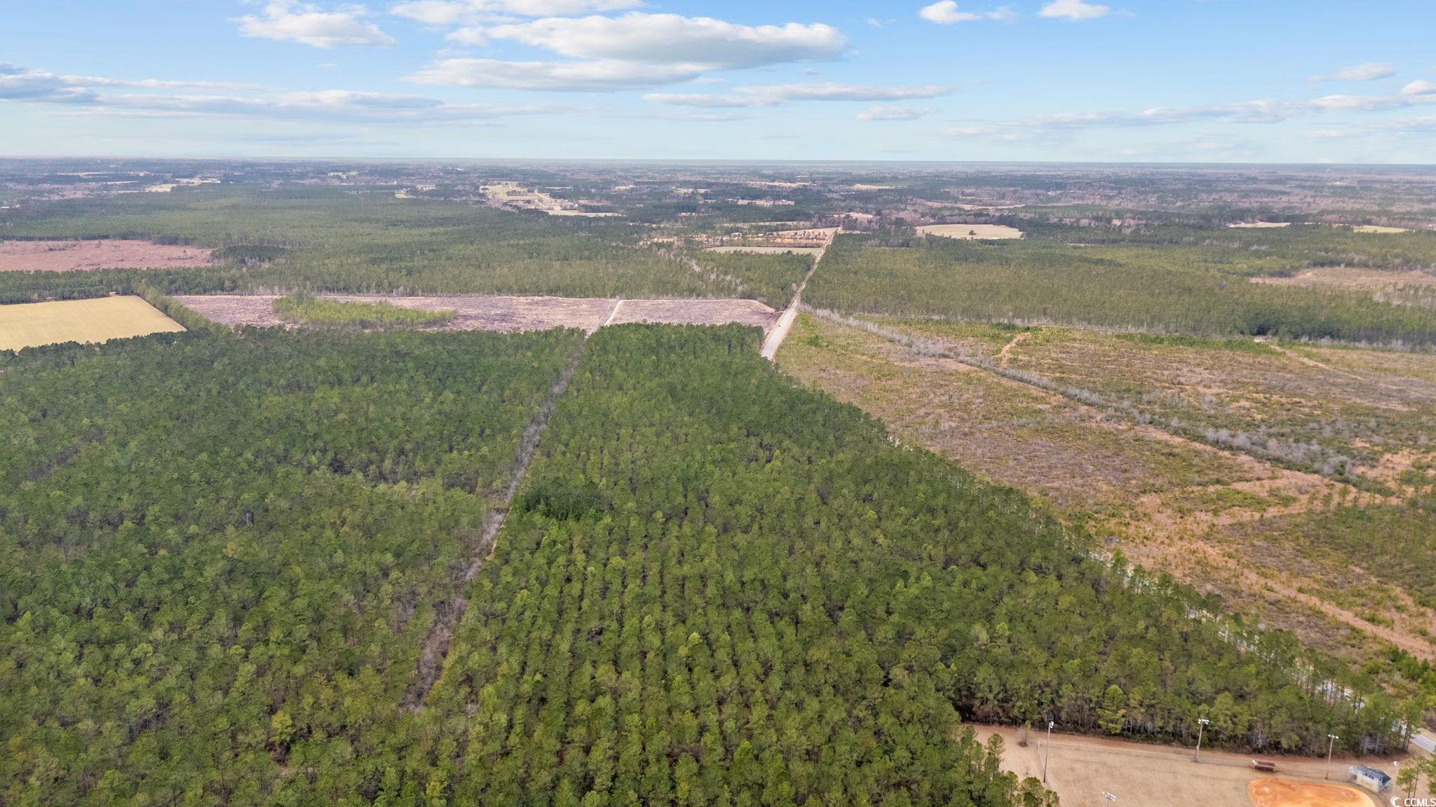 Tbd Joyner Swamp Rd. Property Photo 9