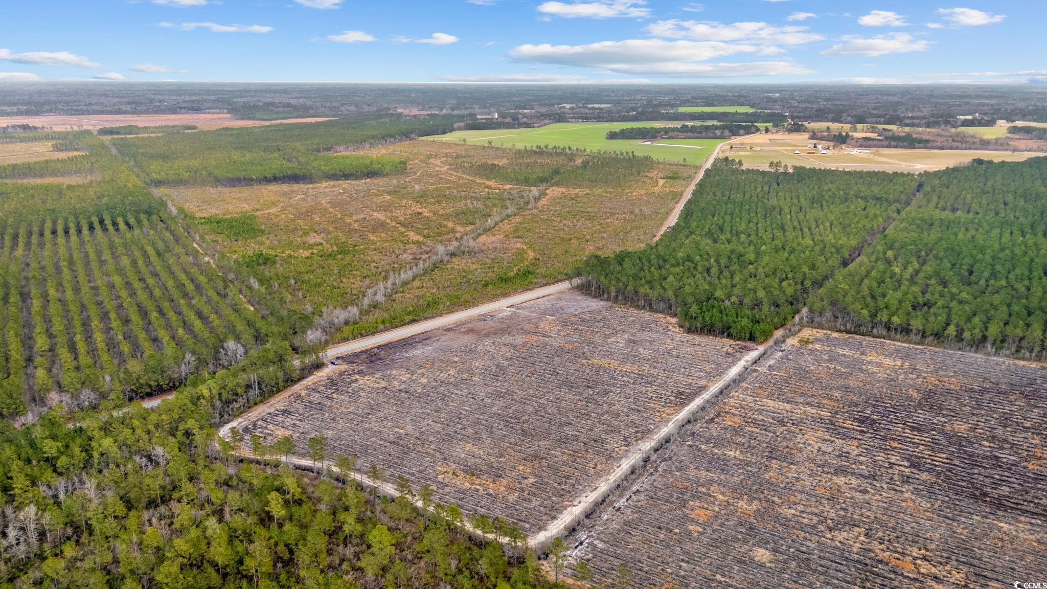 Tbd Joyner Swamp Rd. Property Photo 8
