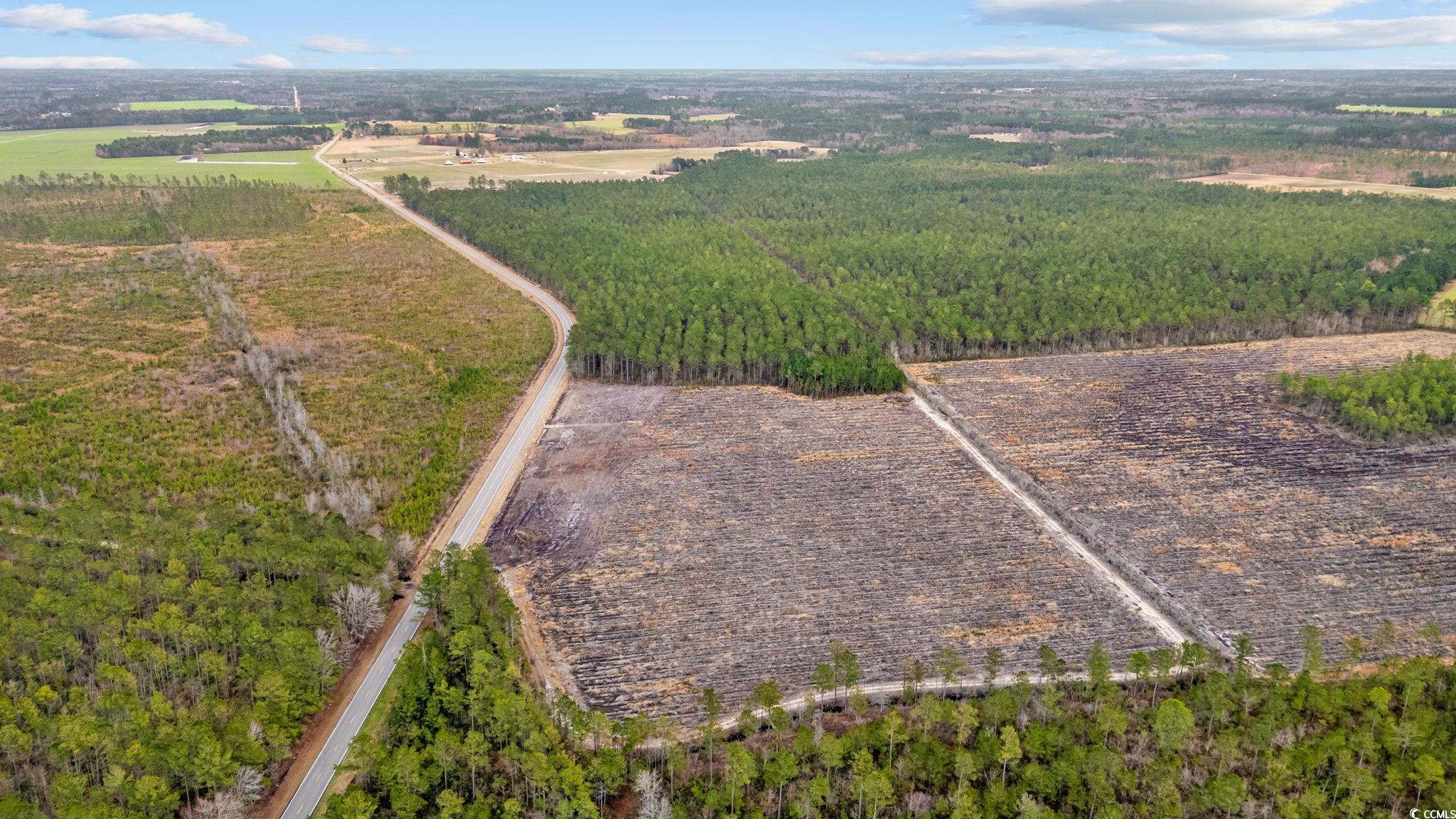 Tbd Joyner Swamp Rd. Property Photo 10