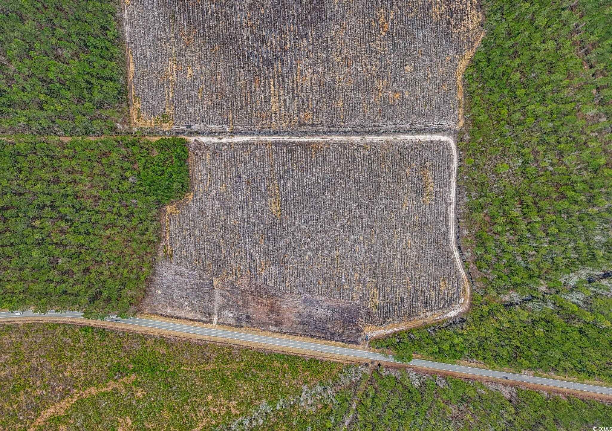 Tbd Joyner Swamp Rd. Property Photo 15