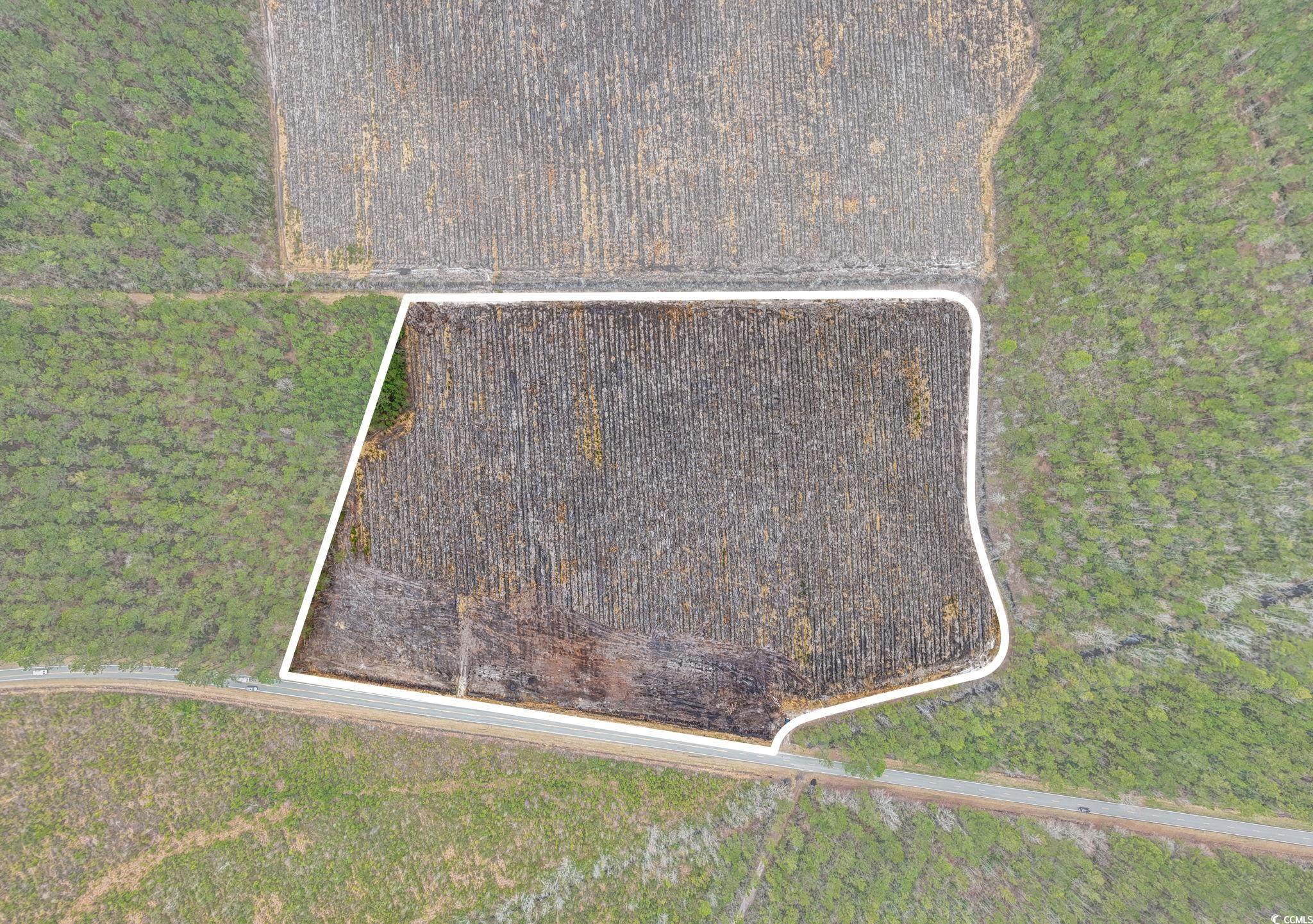 Tbd Joyner Swamp Rd. Property Photo 16