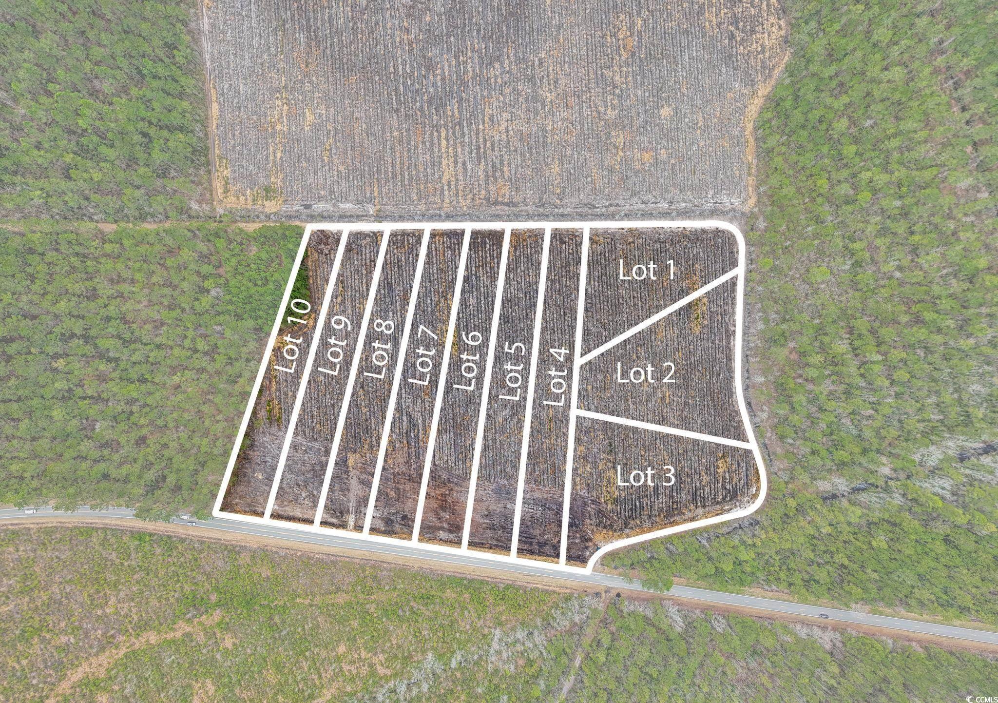 Tbd Joyner Swamp Rd. Property Photo 17