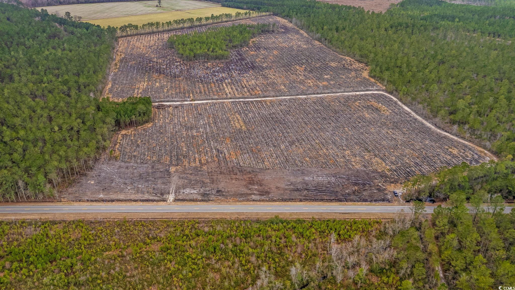 Tbd Joyner Swamp Rd. Property Photo 18