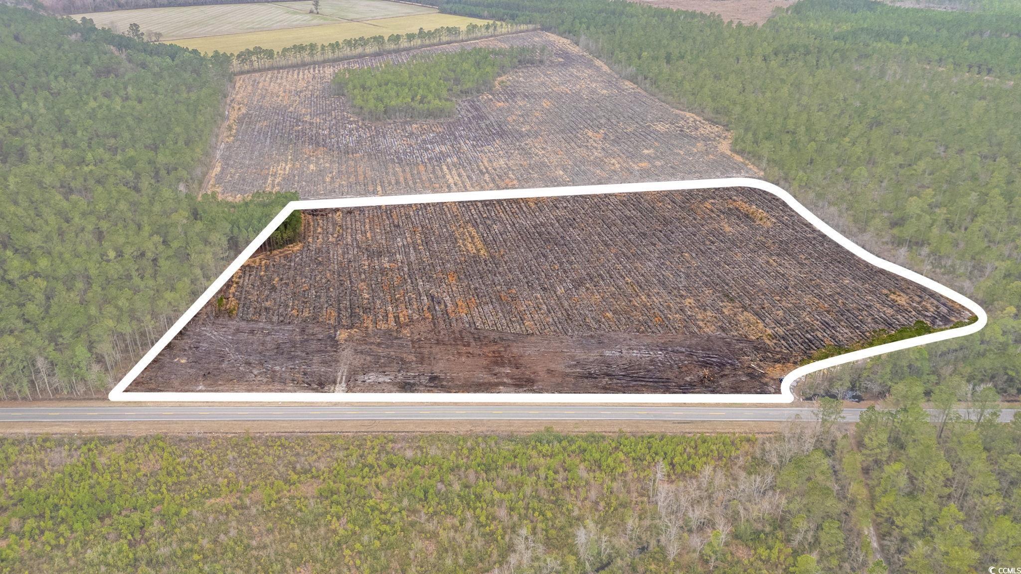Tbd Joyner Swamp Rd. Property Photo 19