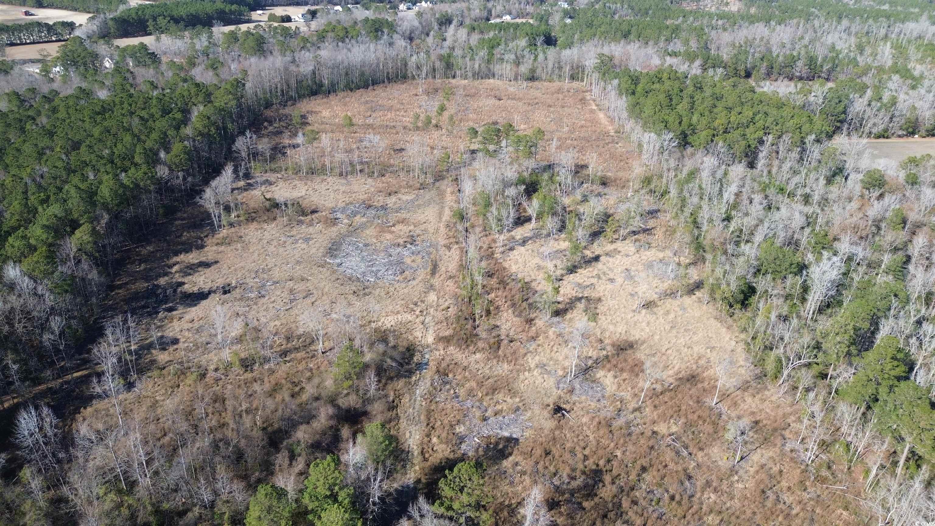 Tbd Highway 905 Property Photo 1