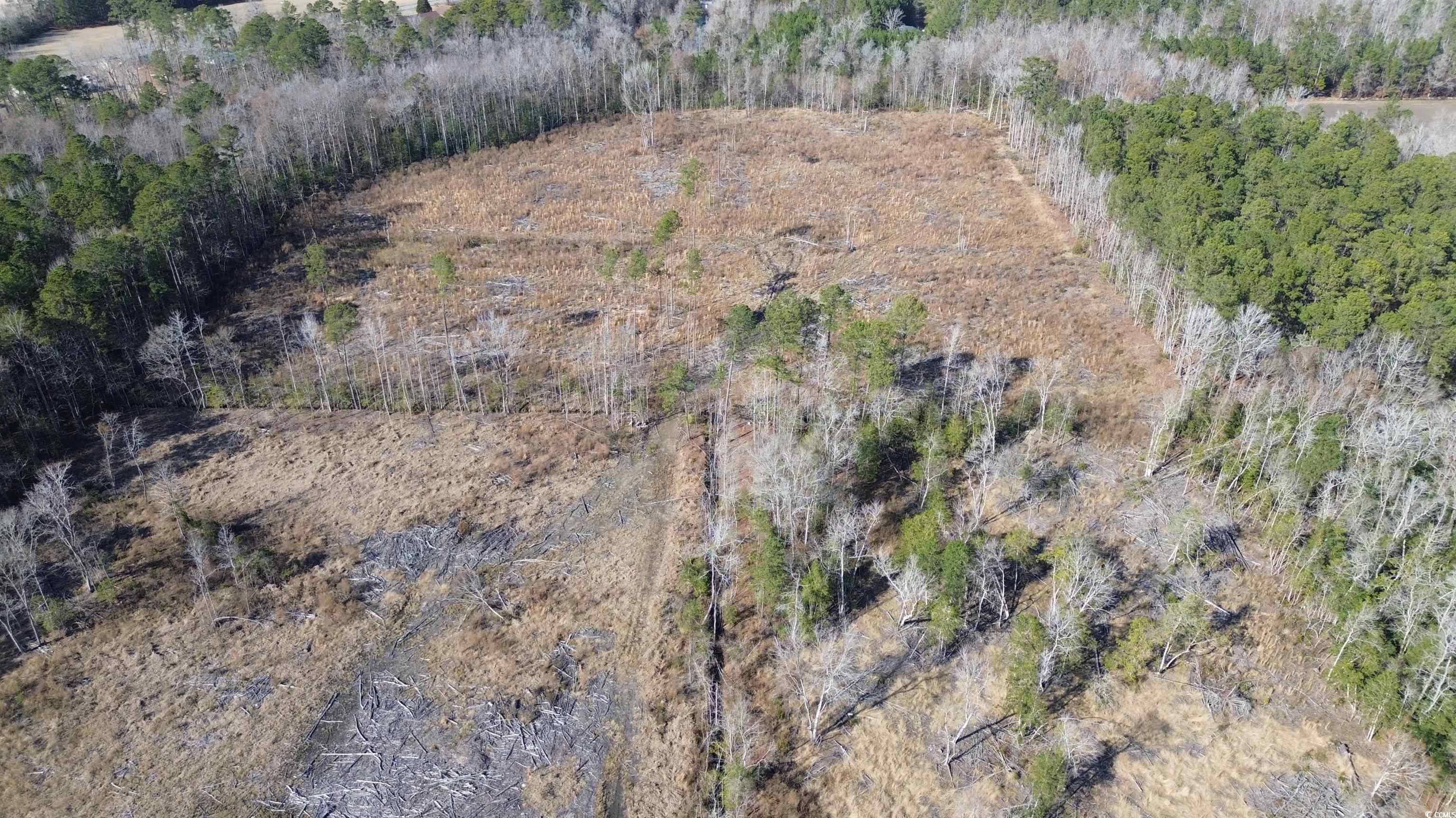 Tbd Highway 905 Property Photo 5