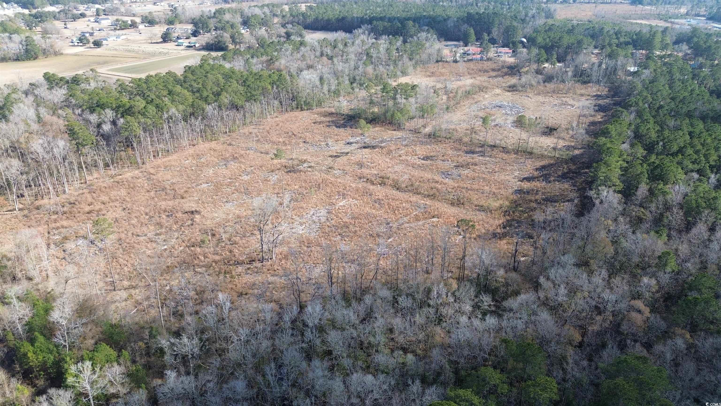 Tbd Highway 905 Property Photo 6