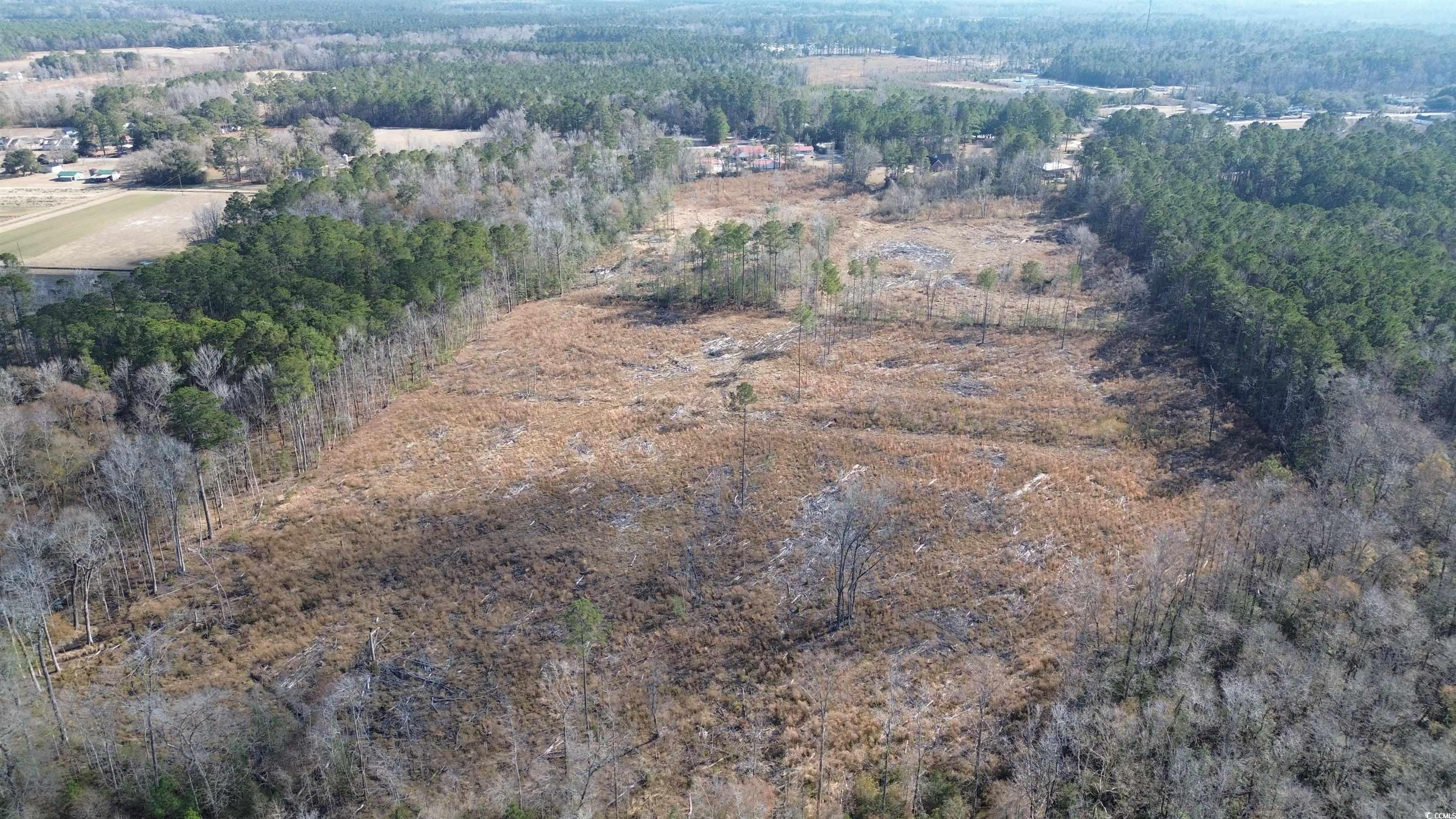 Tbd Highway 905 Property Photo 7