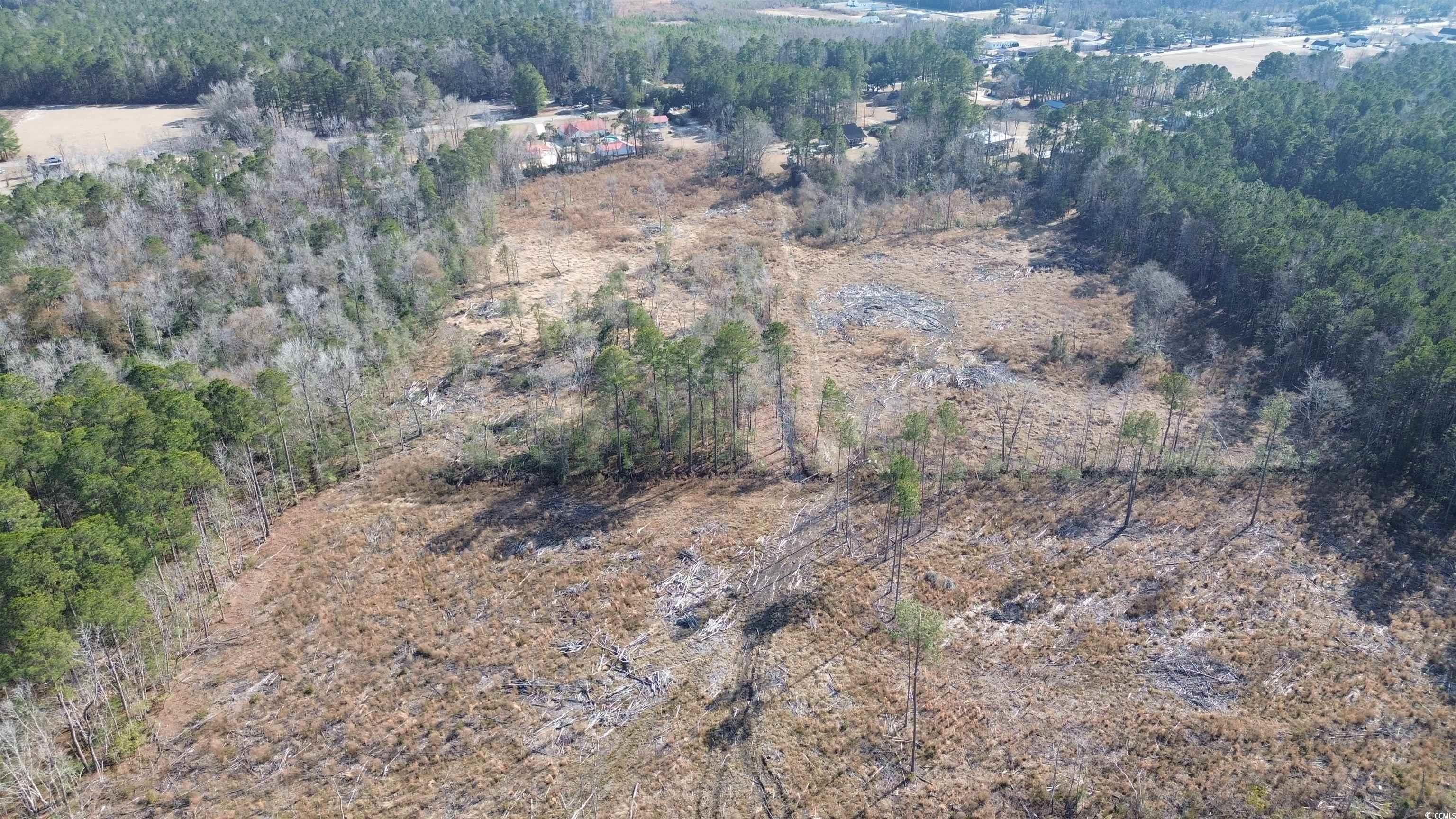 Tbd Highway 905 Property Photo 8