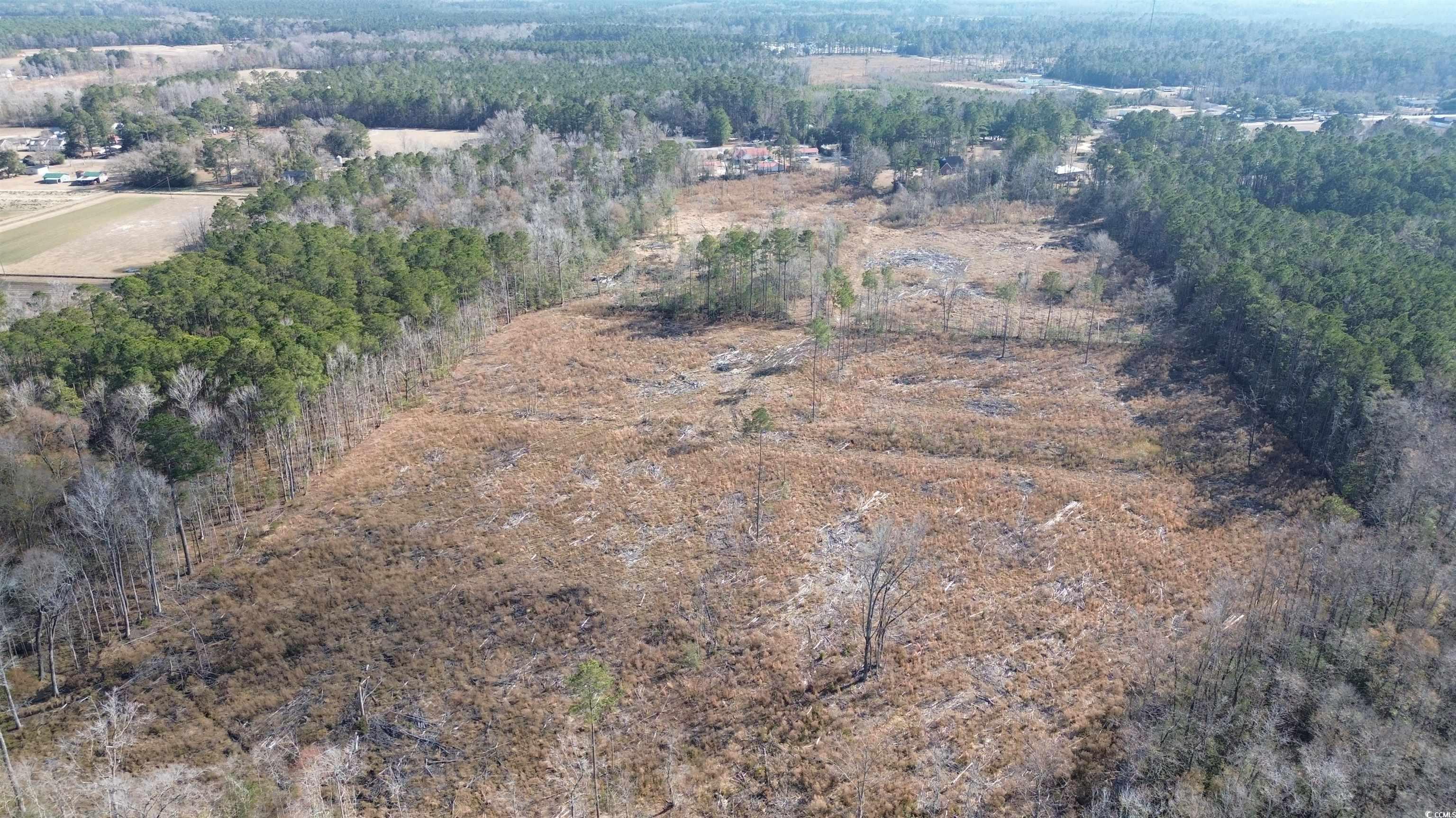 Tbd Highway 905 Property Photo 9