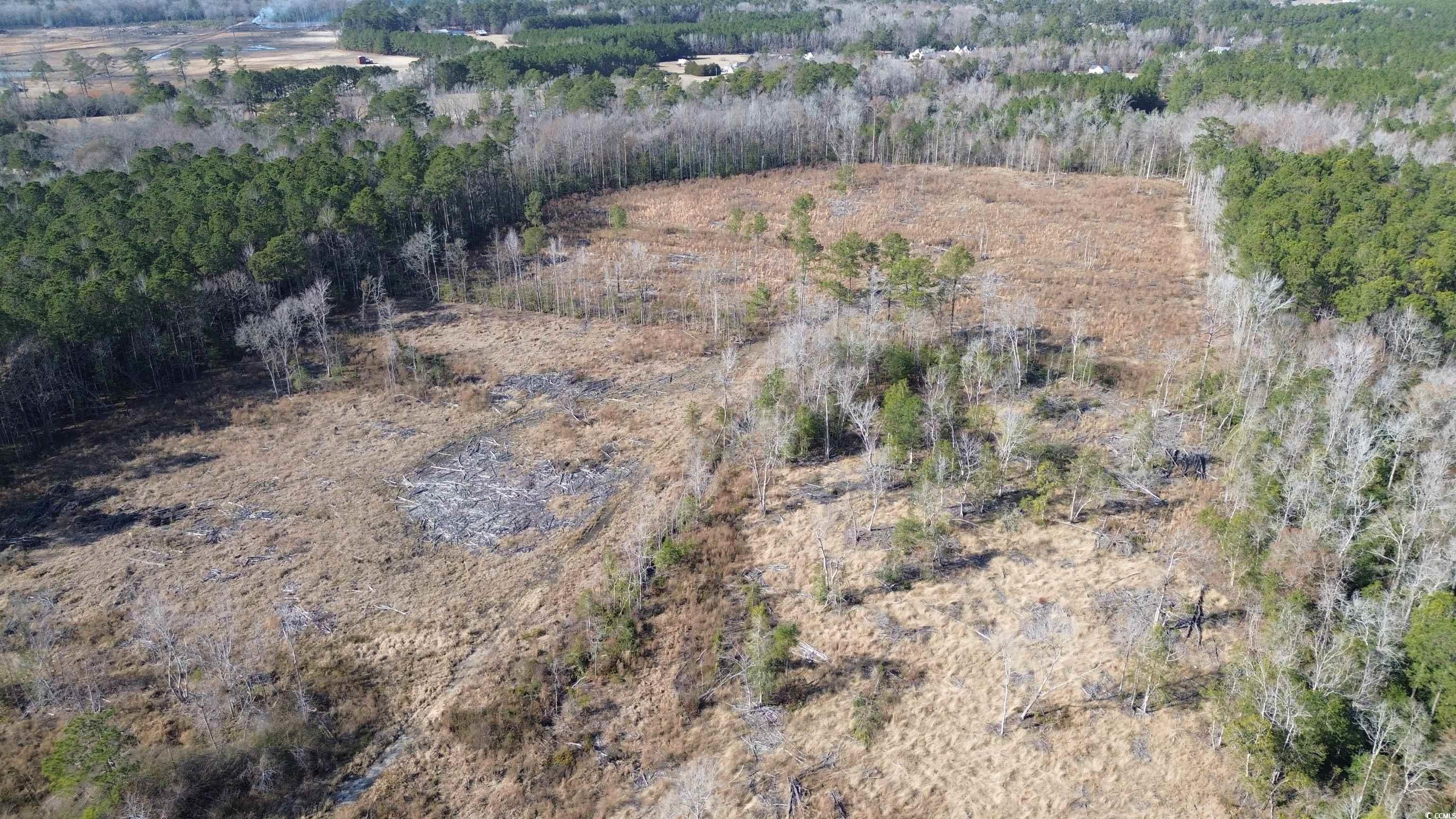 Tbd Highway 905 Property Photo 10