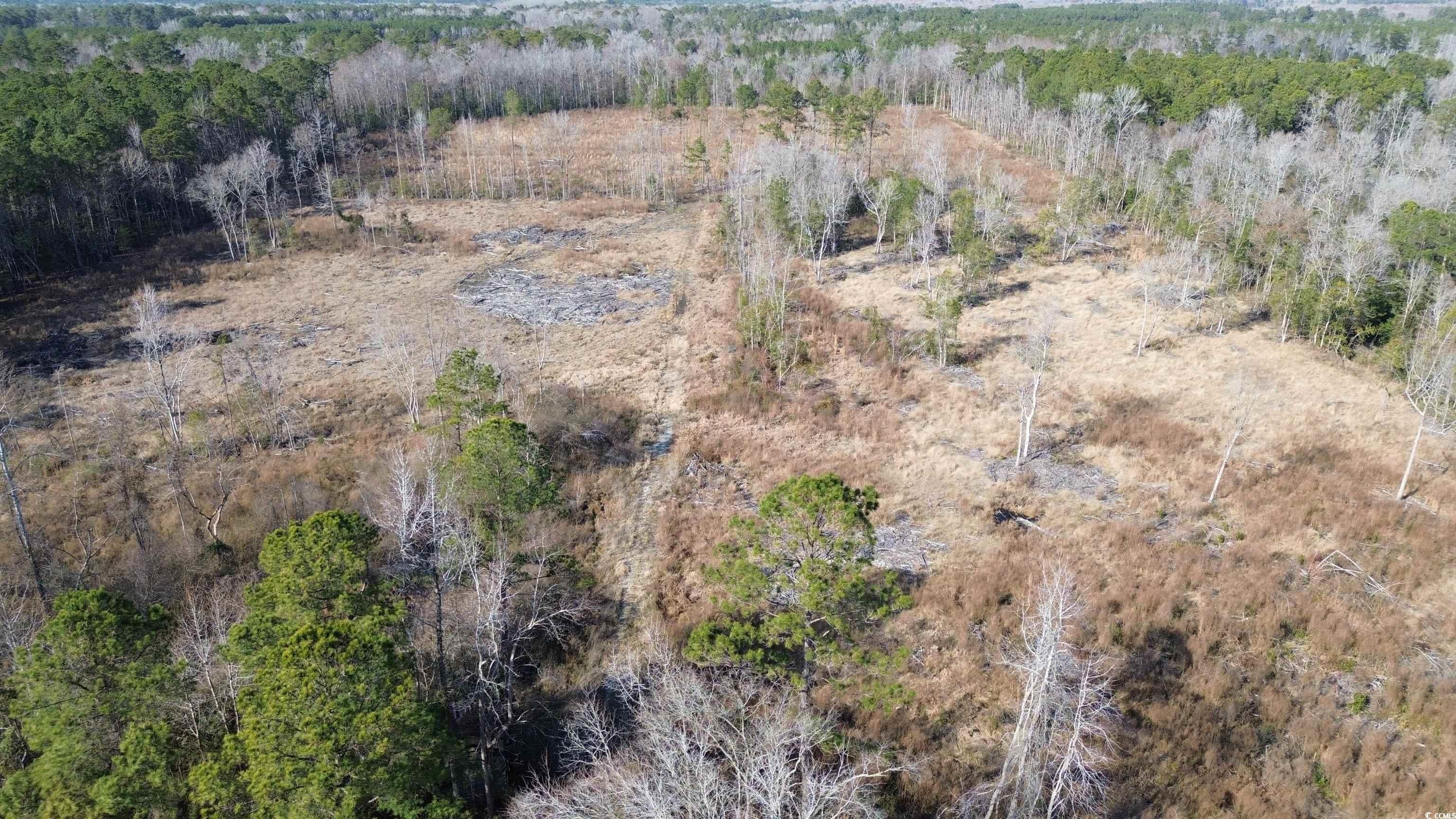 Tbd Highway 905 Property Photo 11