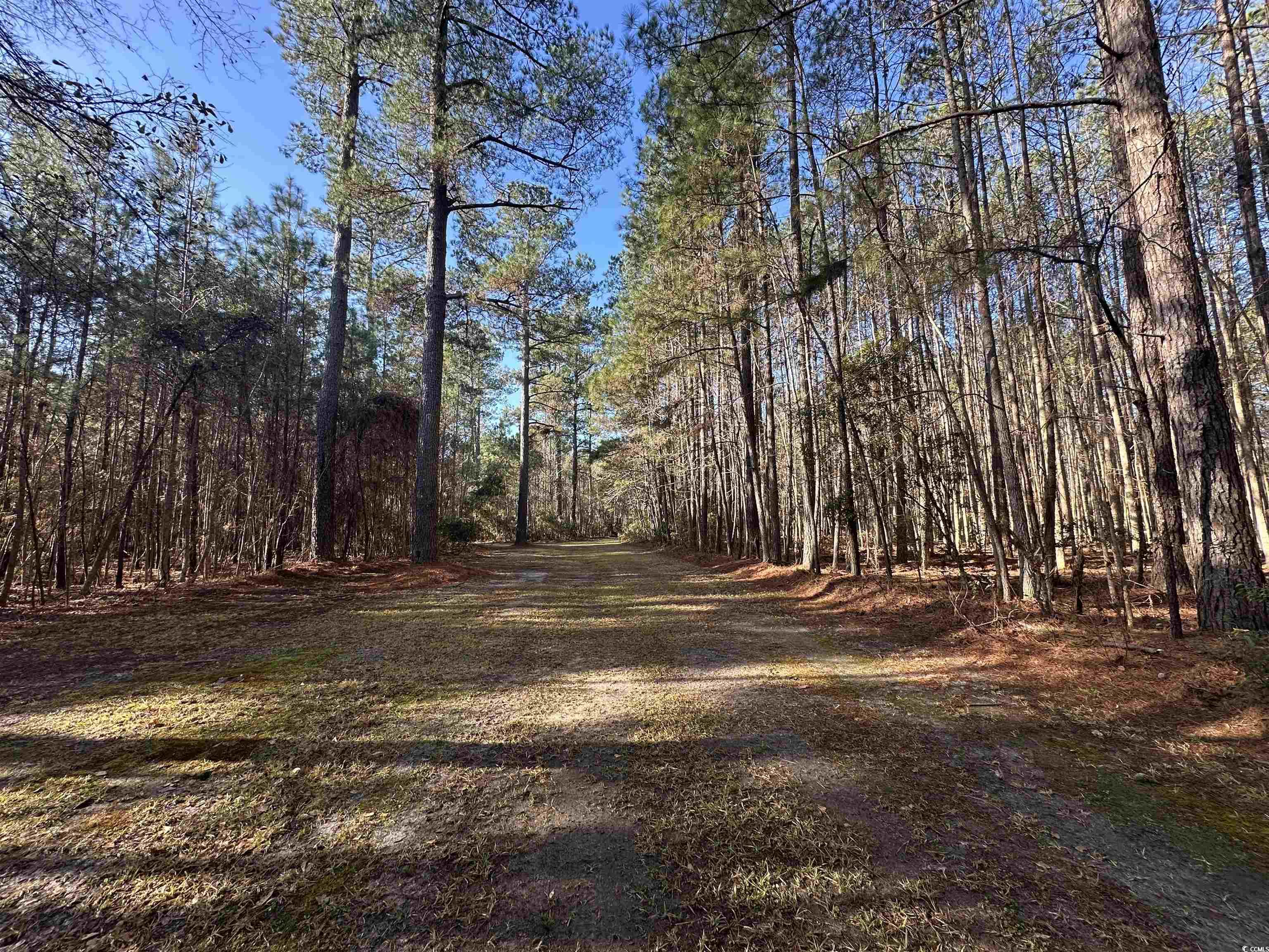 Tbd Highway 521 Property Photo 3