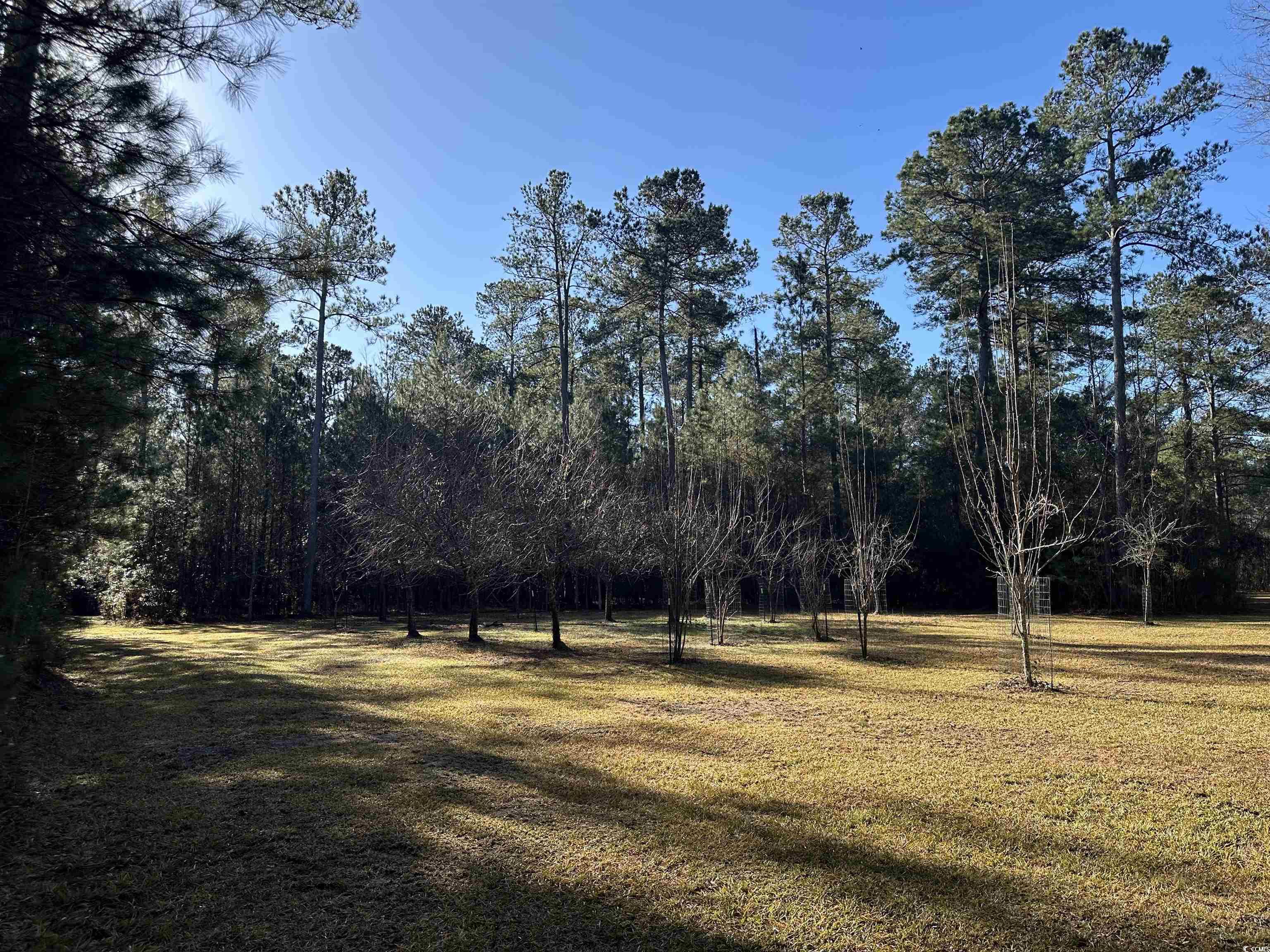 Tbd Highway 521 Property Photo 4
