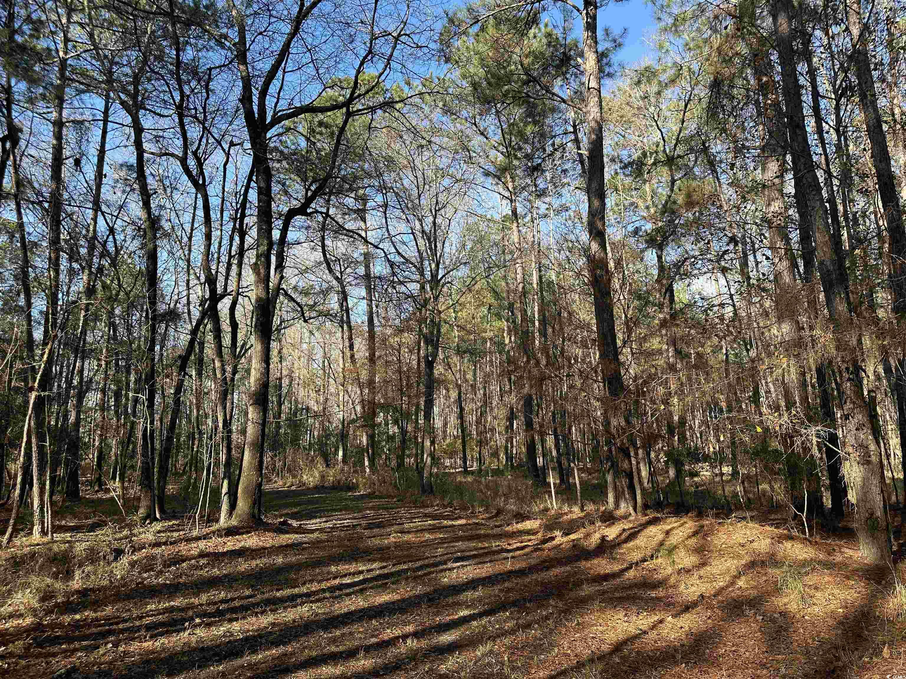Tbd Highway 521 Property Photo 9