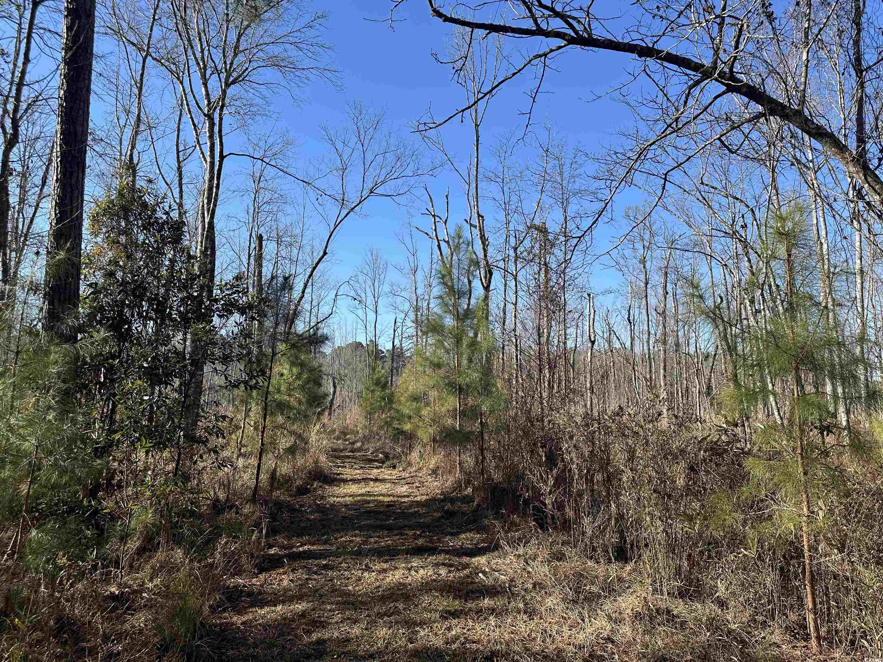 Tbd Highway 521 Property Photo 10