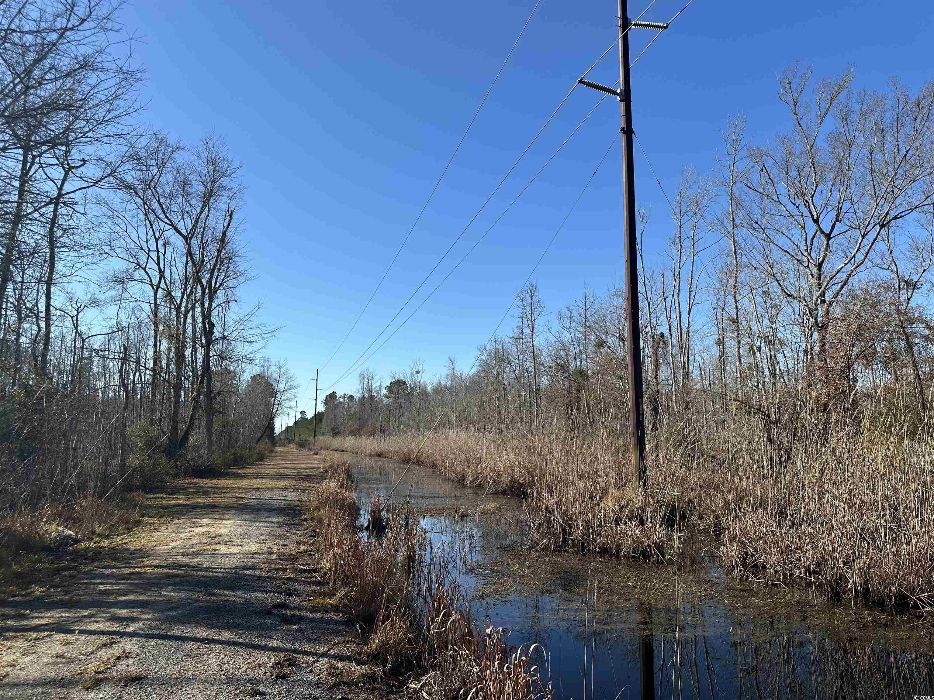 Tbd Highway 521 Property Photo 11