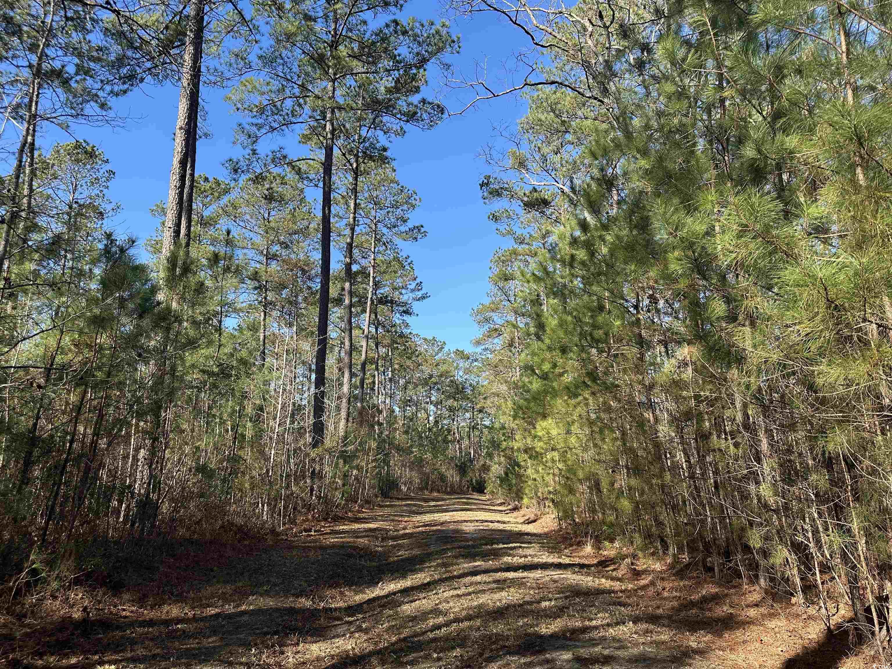 Tbd Highway 521 Property Photo 12