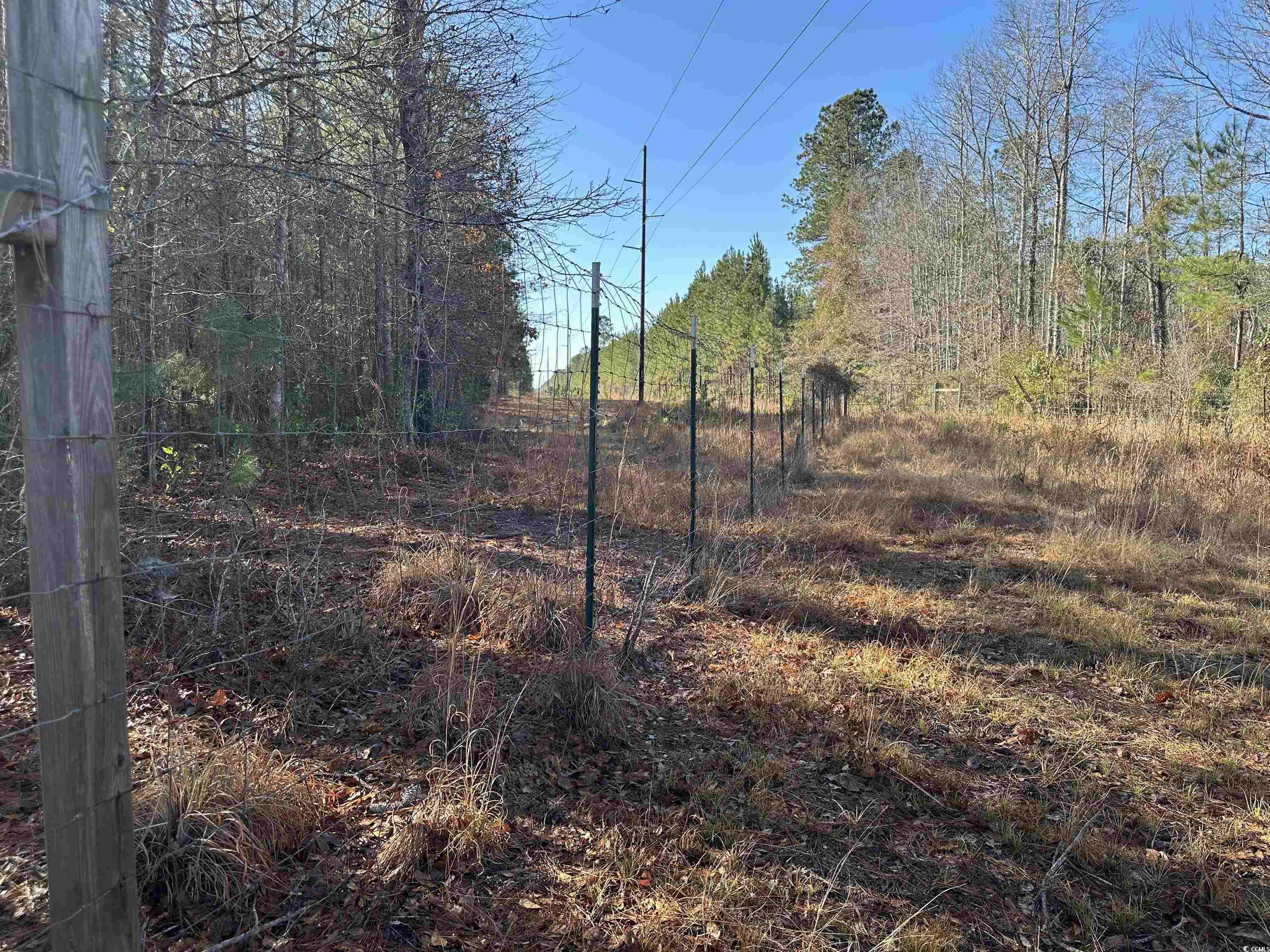 Tbd Highway 521 Property Photo 15