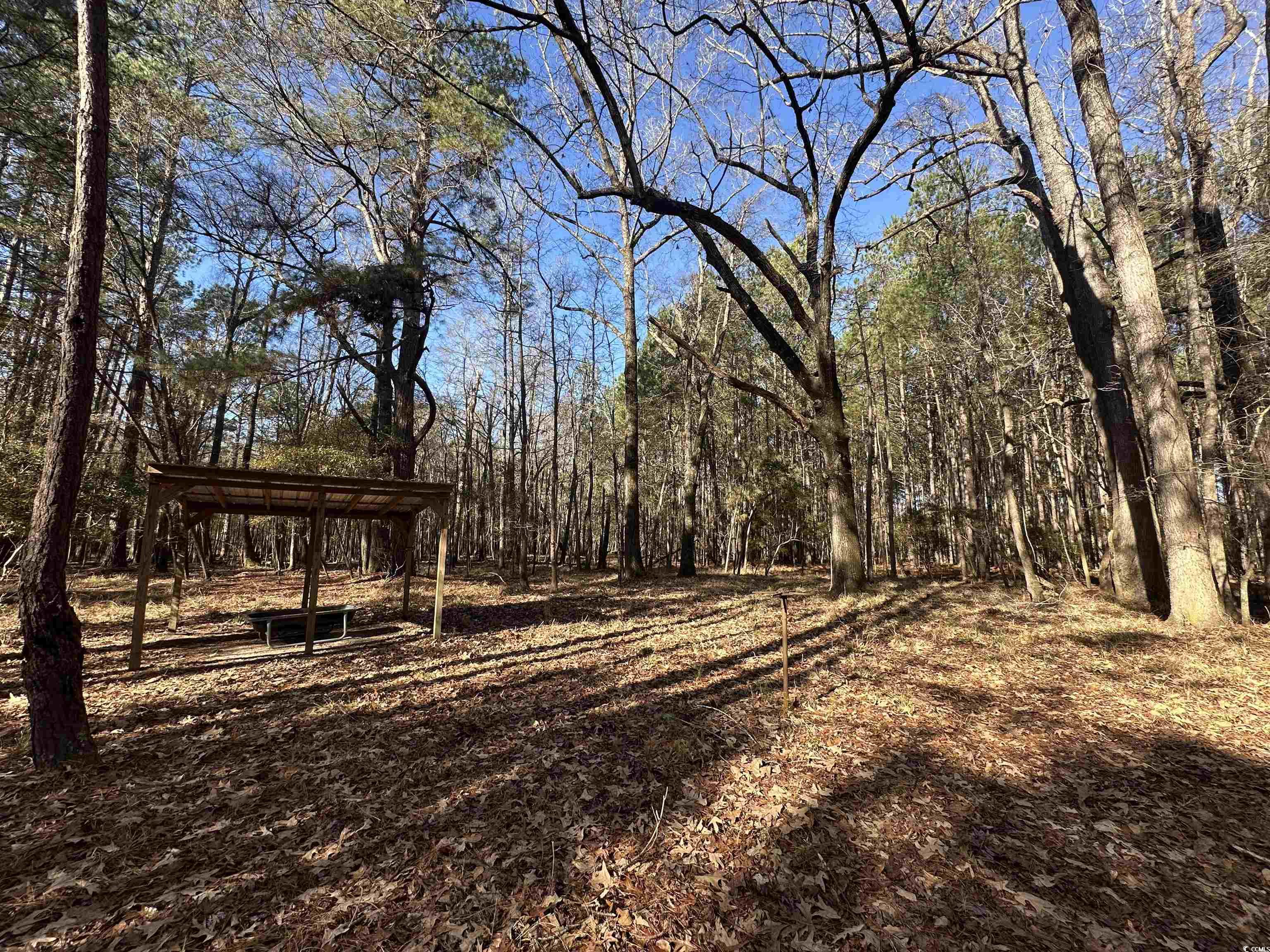 Tbd Highway 521 Property Photo 16