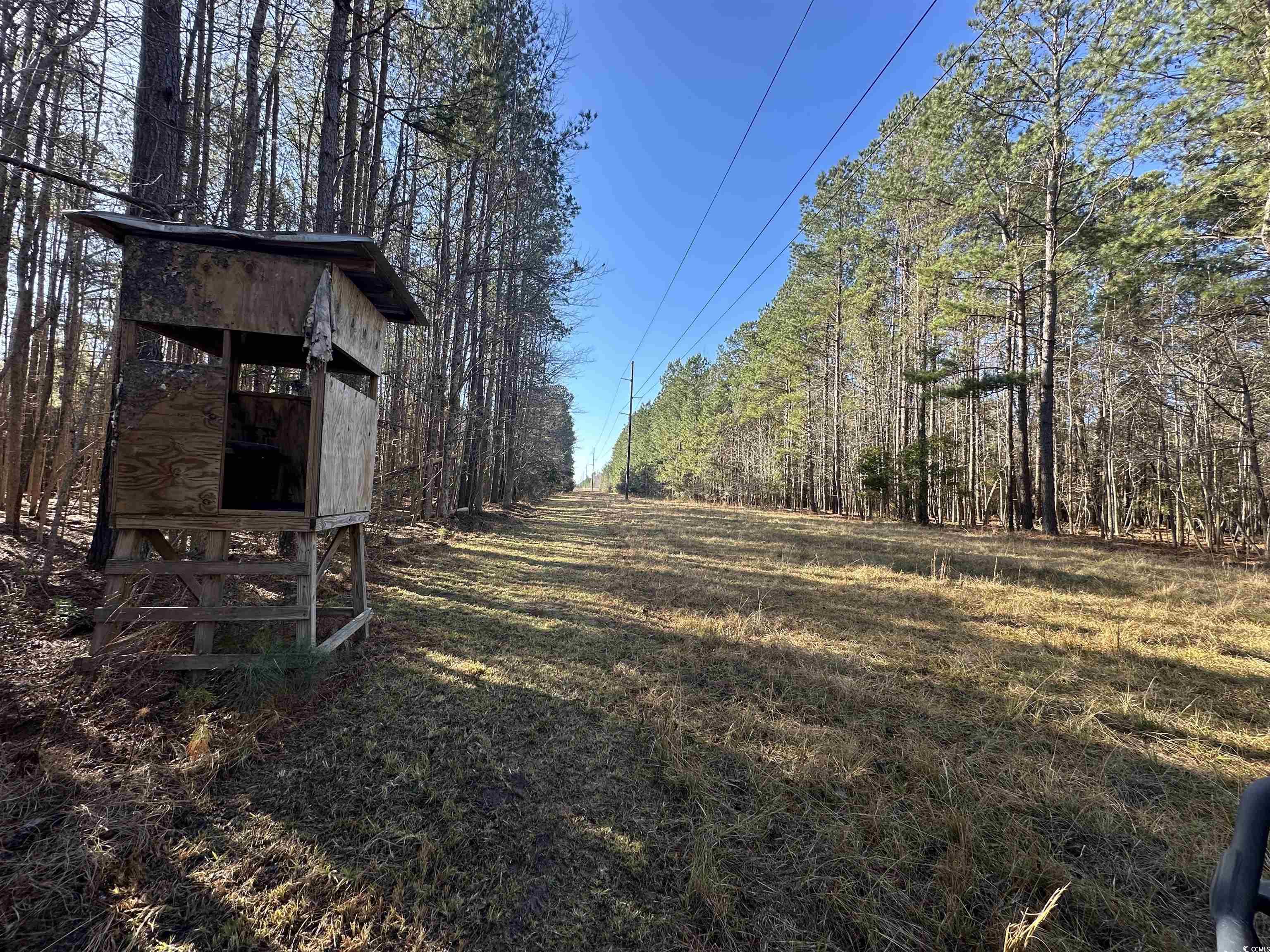 Tbd Highway 521 Property Photo 17