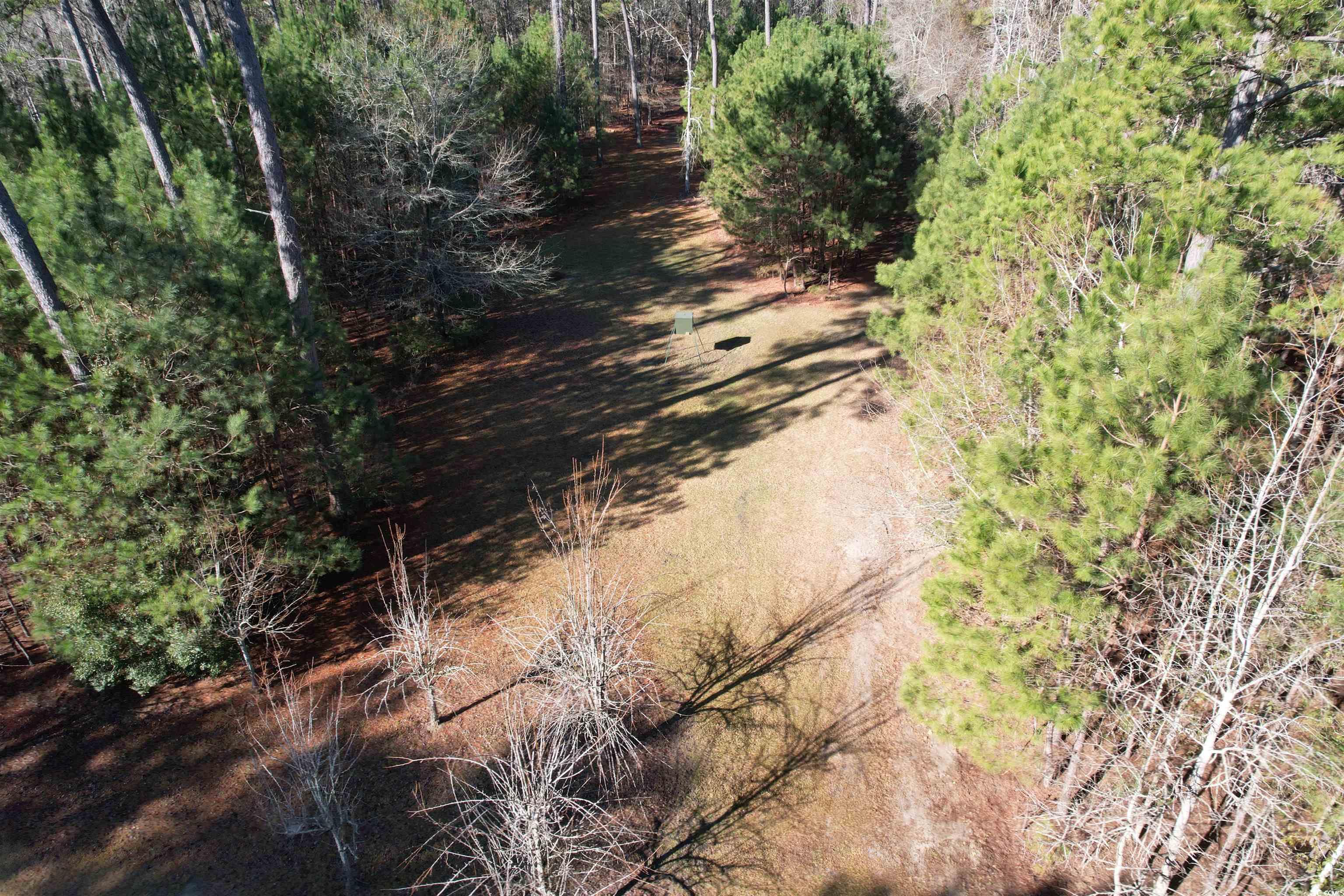 Tbd Highway 521 Property Photo 19