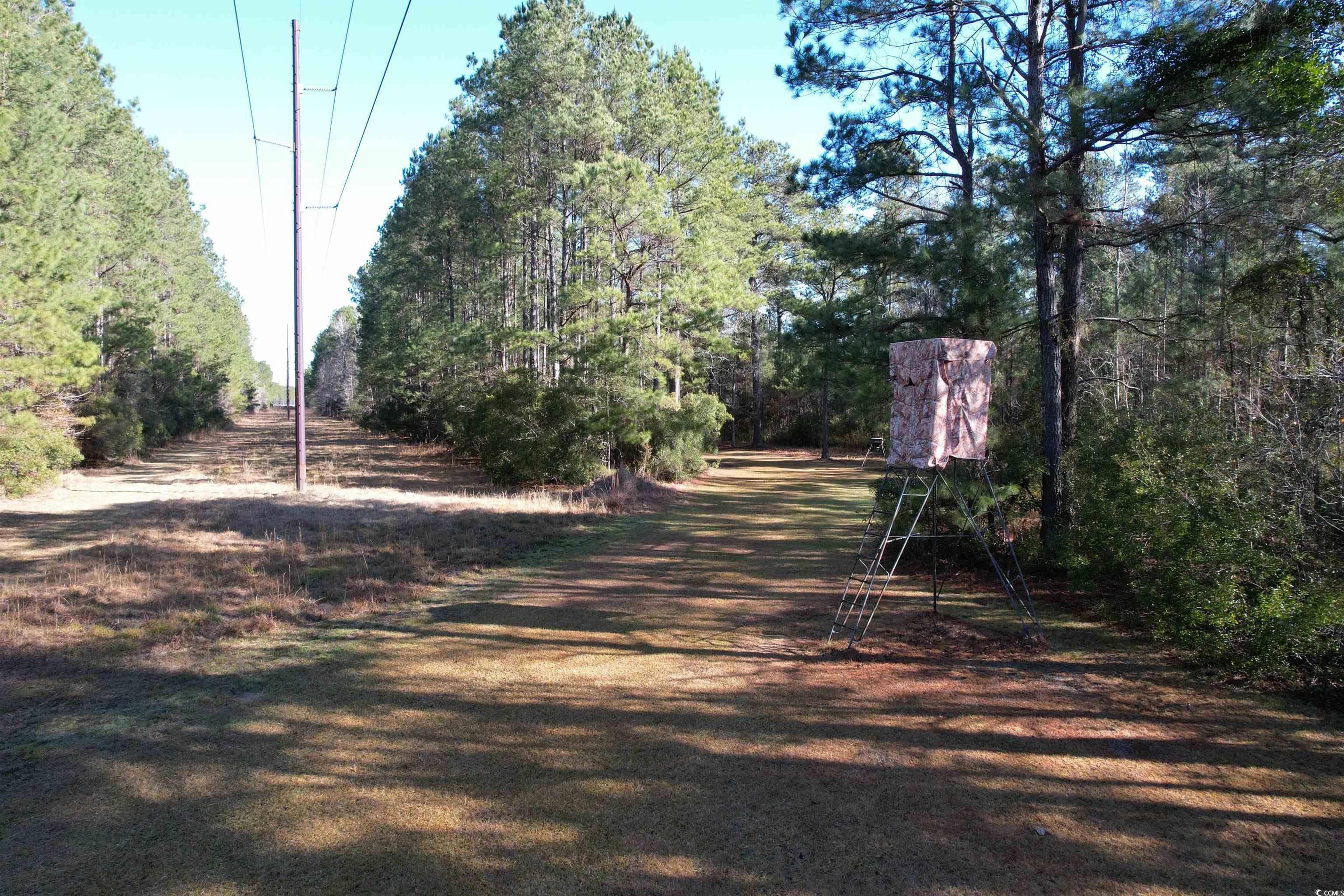 Tbd Highway 521 Property Photo 20