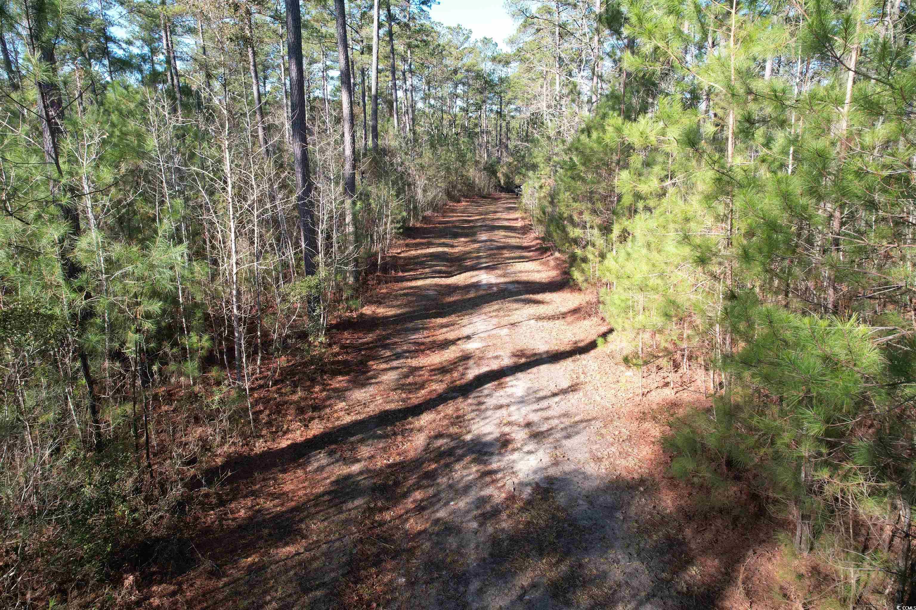 Tbd Highway 521 Property Photo 21