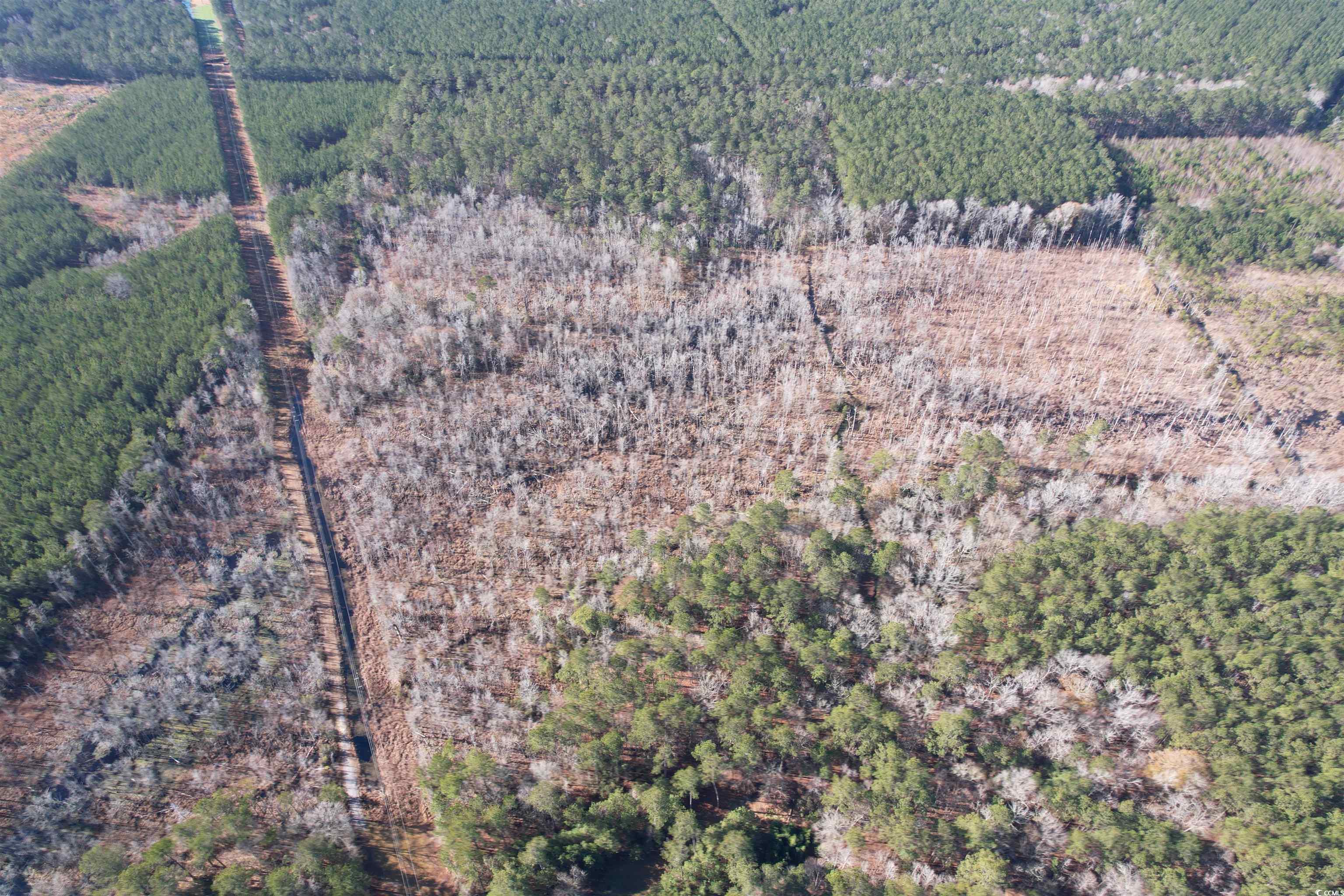 Tbd Highway 521 Property Photo 22