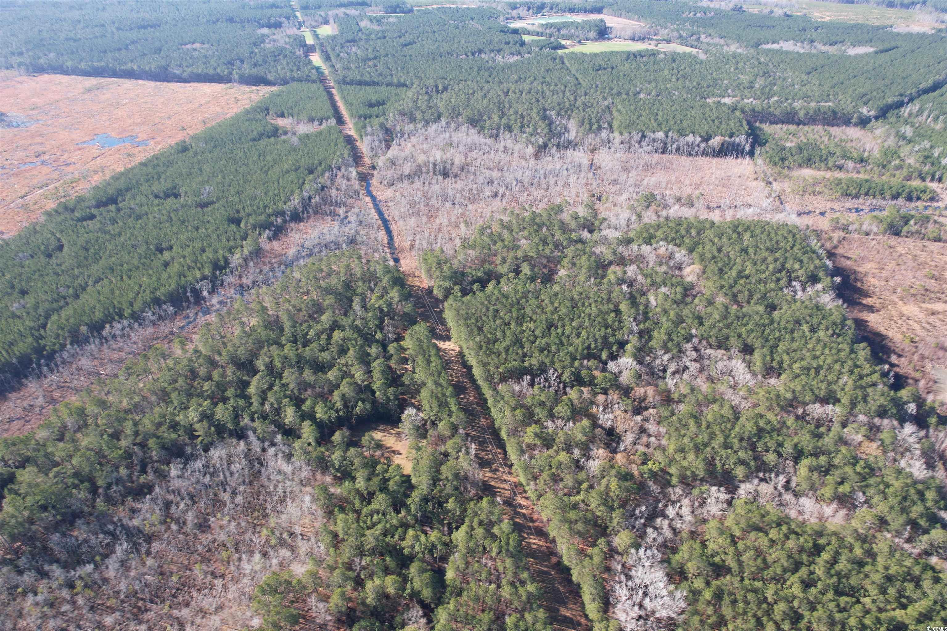 Tbd Highway 521 Property Photo 23