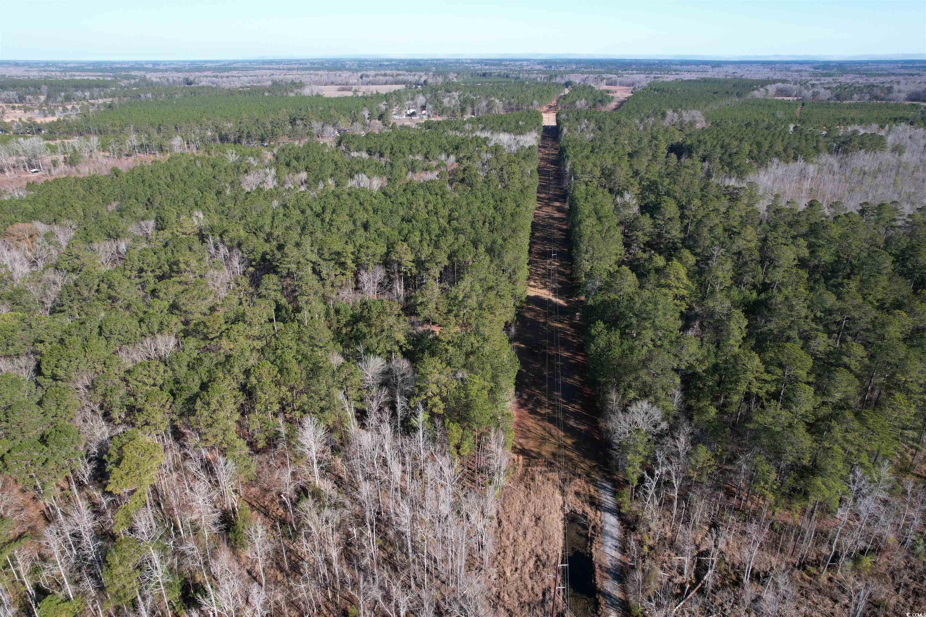 Tbd Highway 521 Property Photo 25