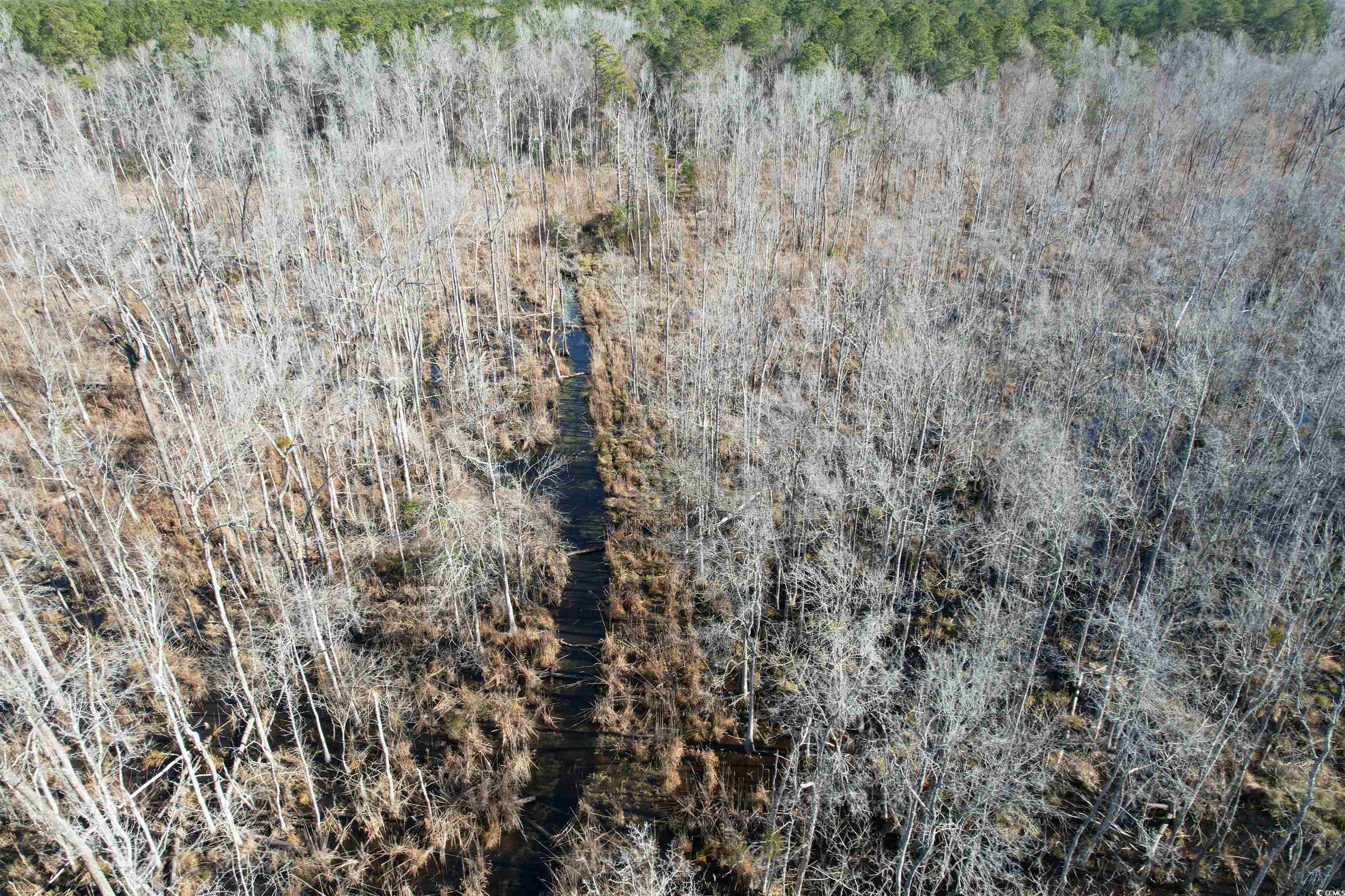 Tbd Highway 521 Property Photo 27