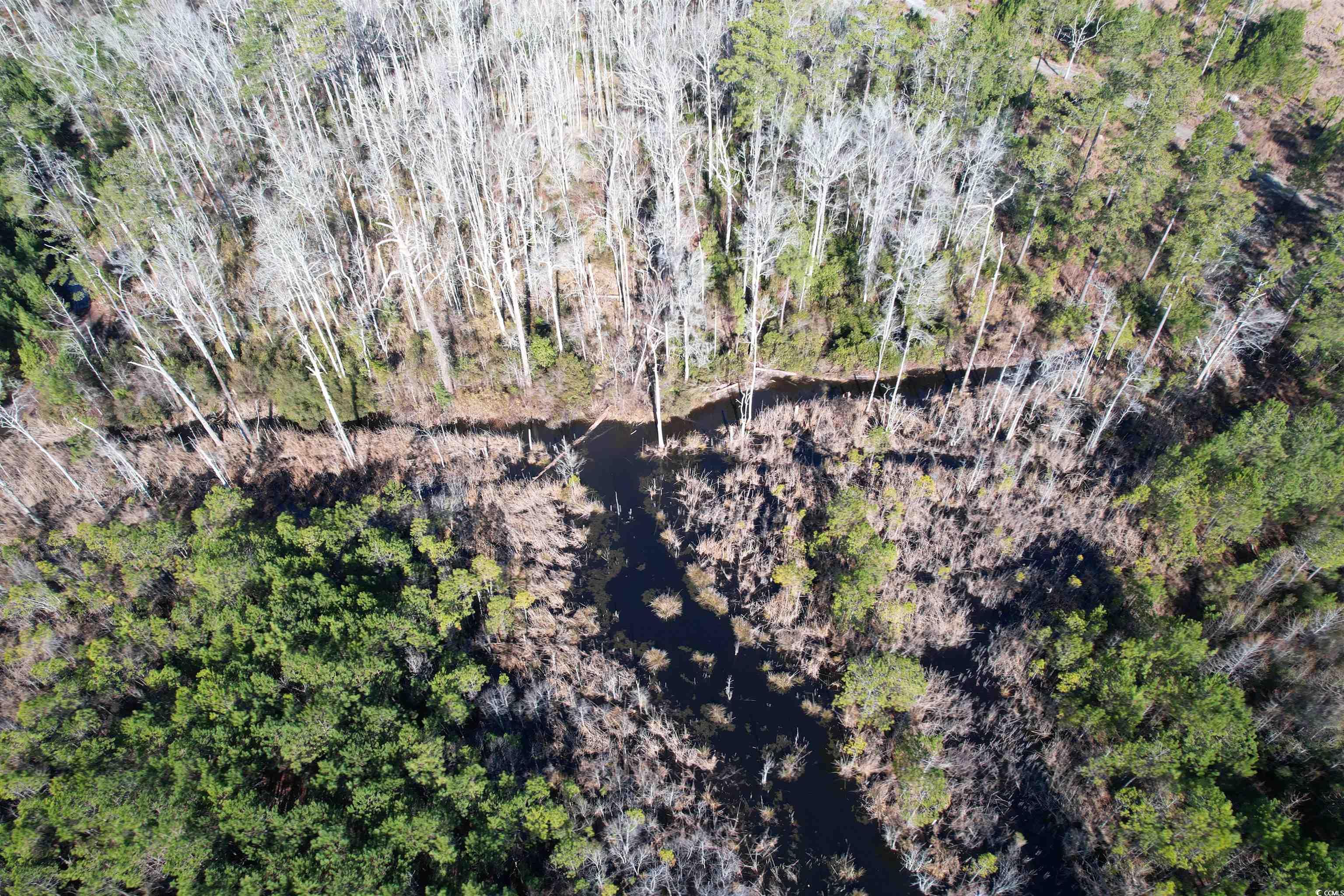 Tbd Highway 521 Property Photo 28