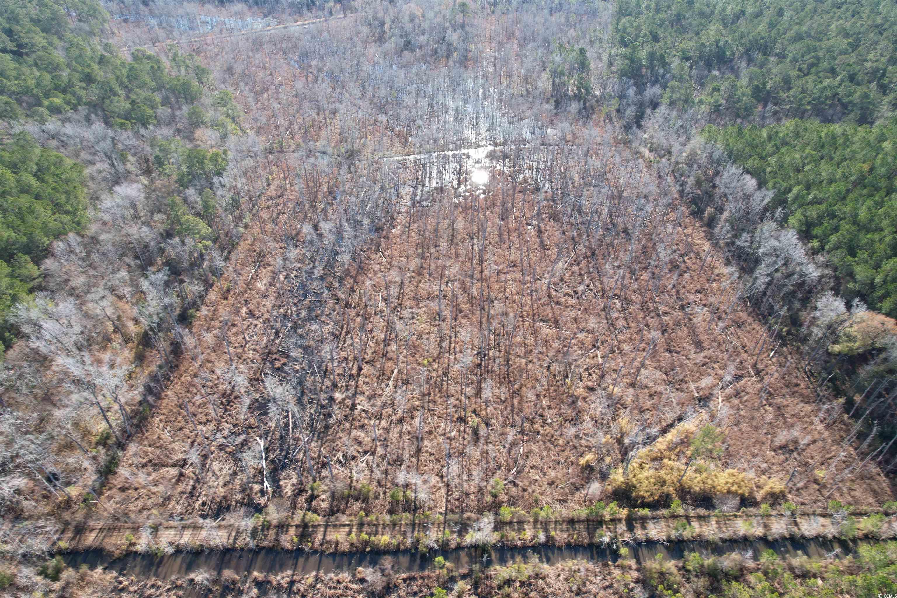 Tbd Highway 521 Property Photo 29