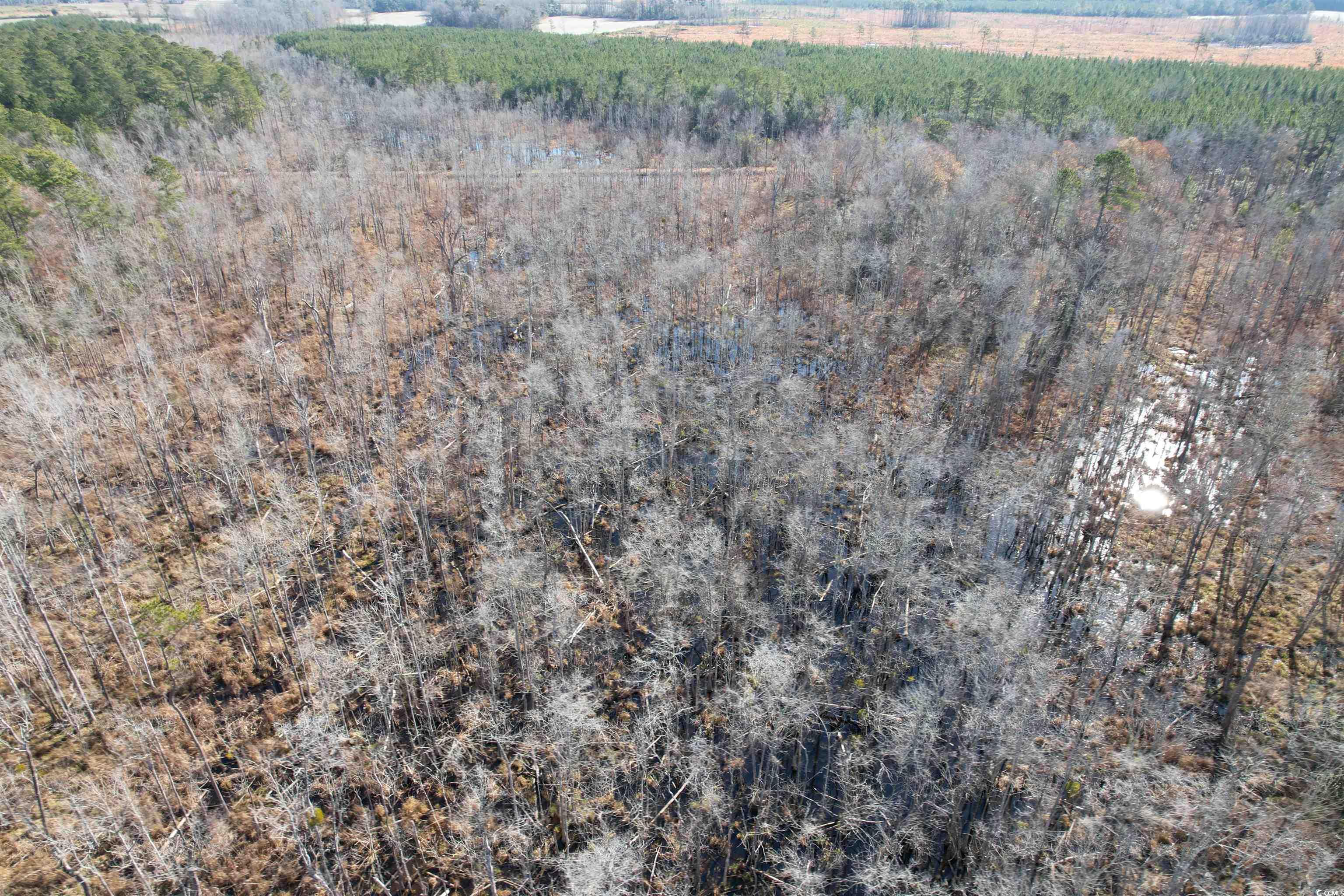 Tbd Highway 521 Property Photo 30
