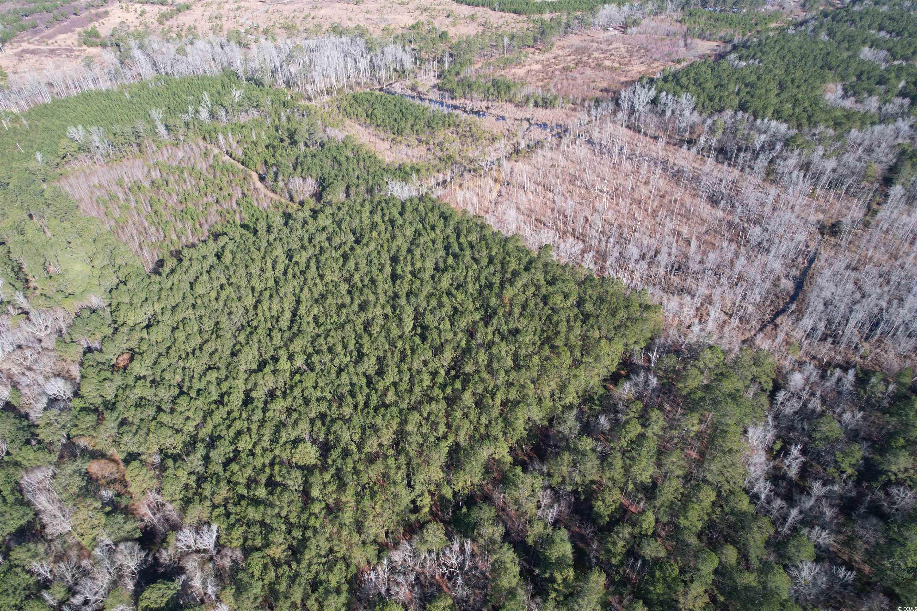 Tbd Highway 521 Property Photo 31